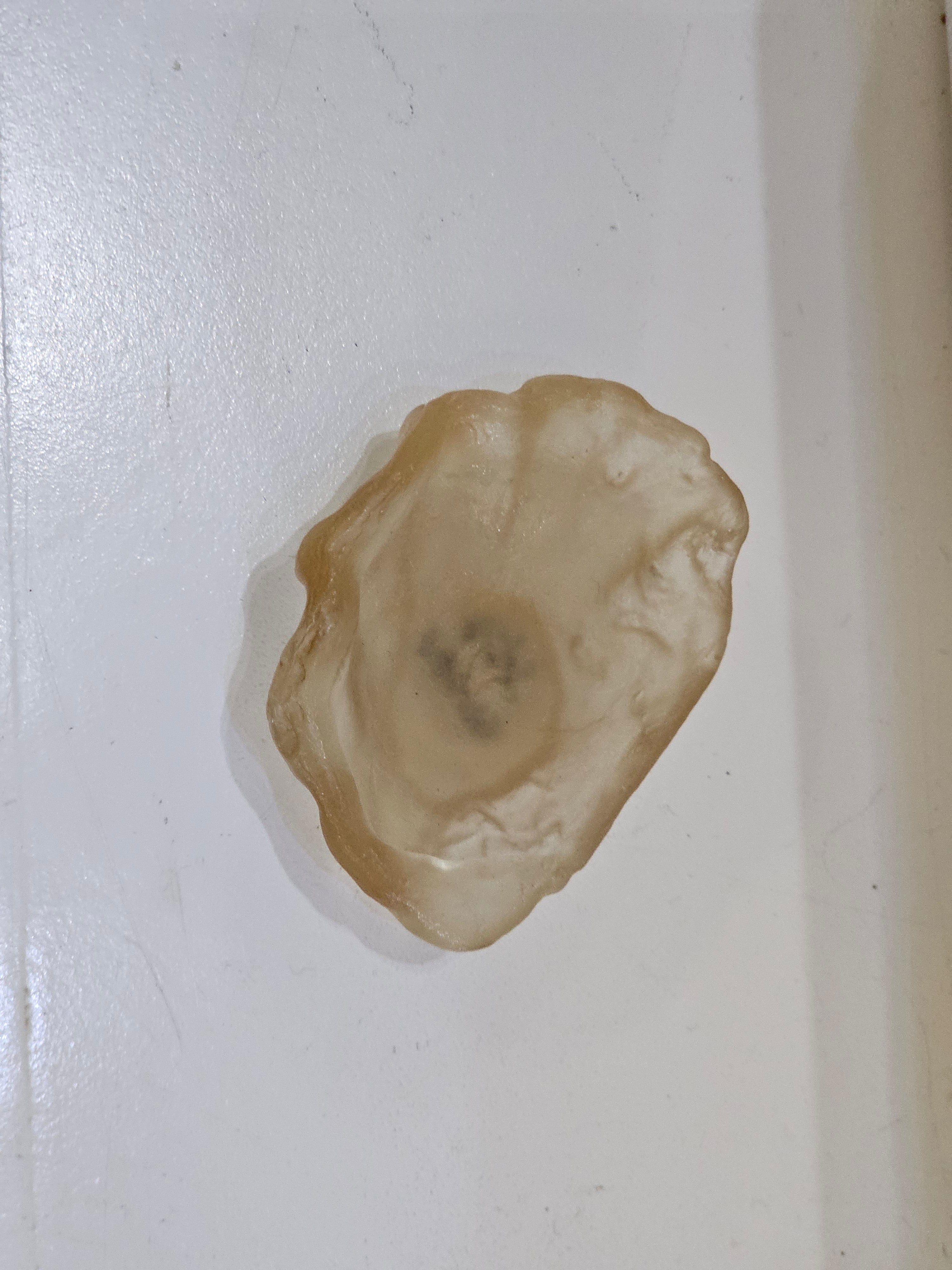 Cast Glass - Oyster Shell