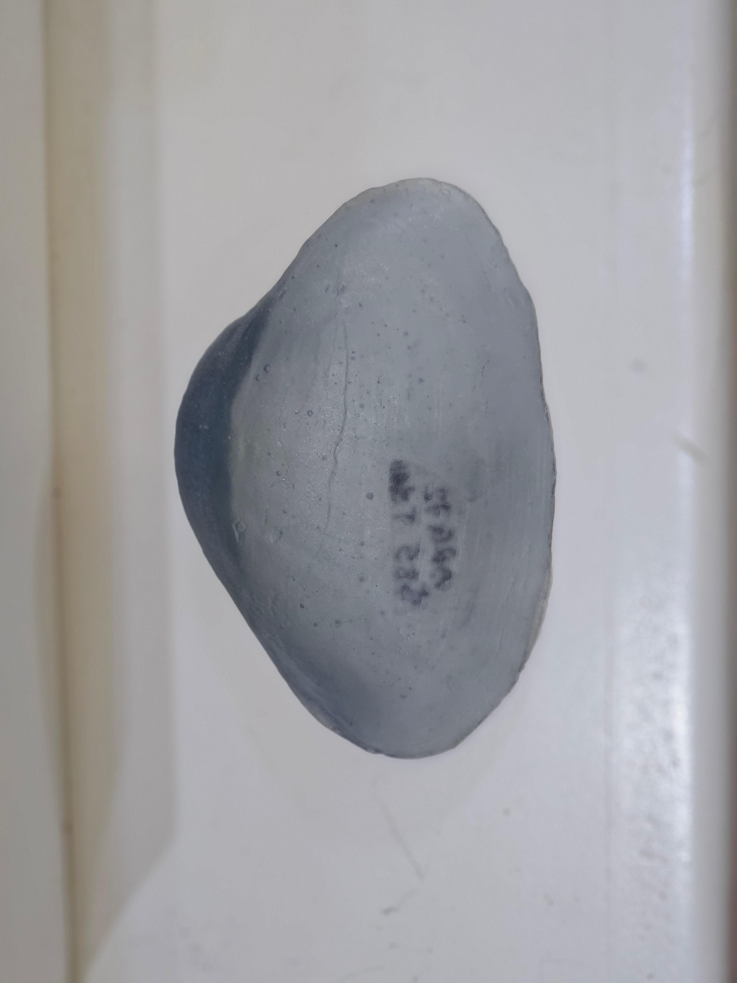 Cast Glass - Toheroa Shell