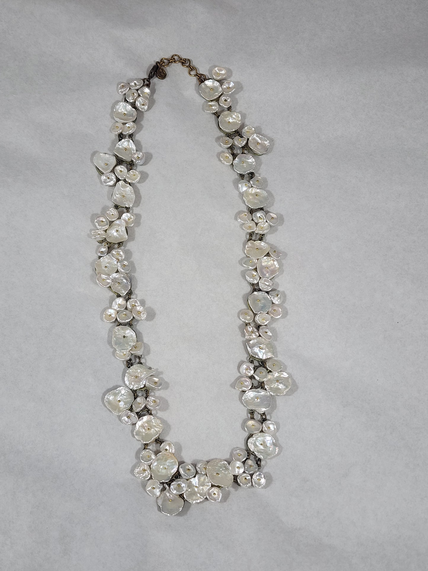 Silver Dollar Necklace