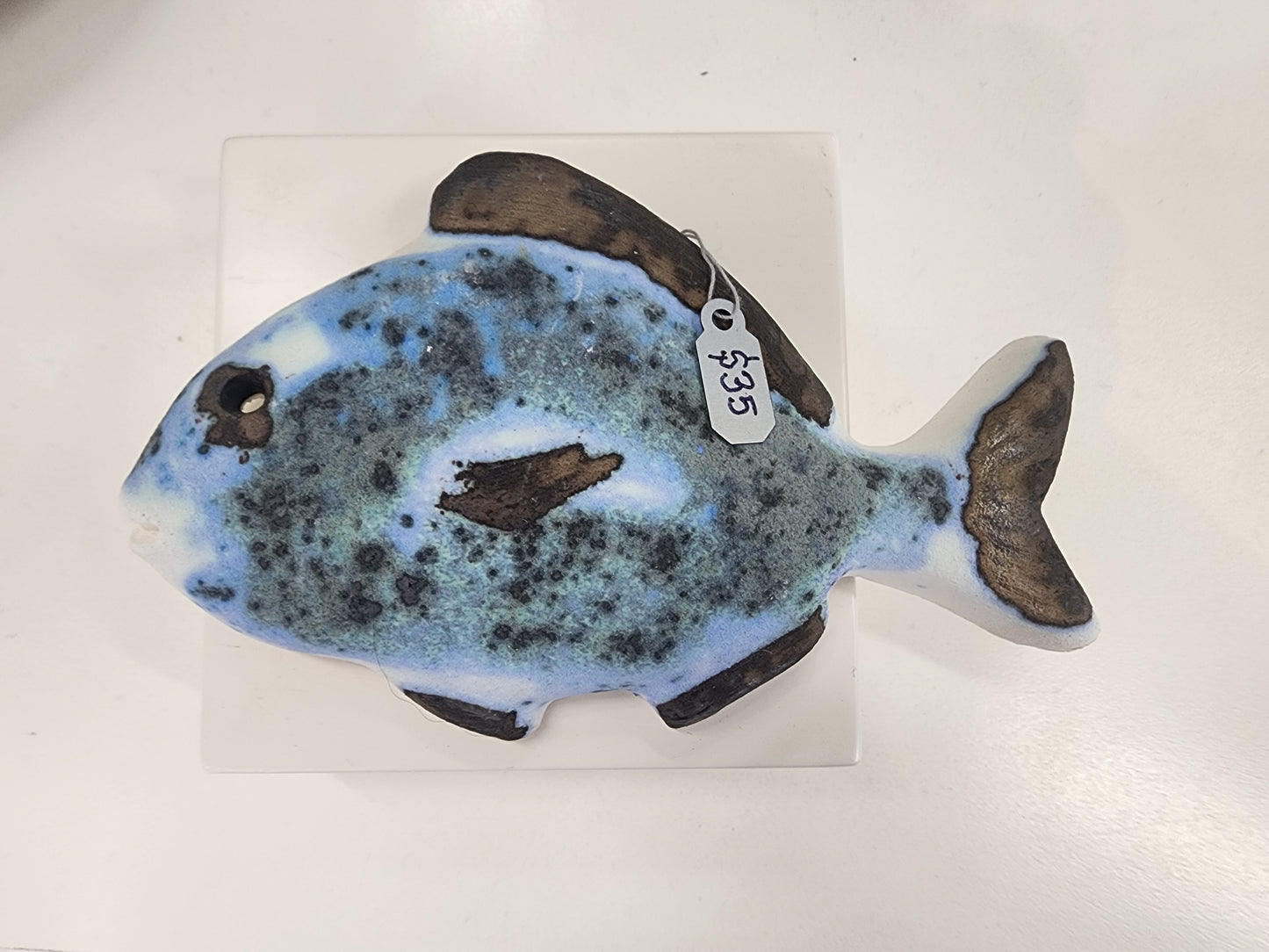 Fish