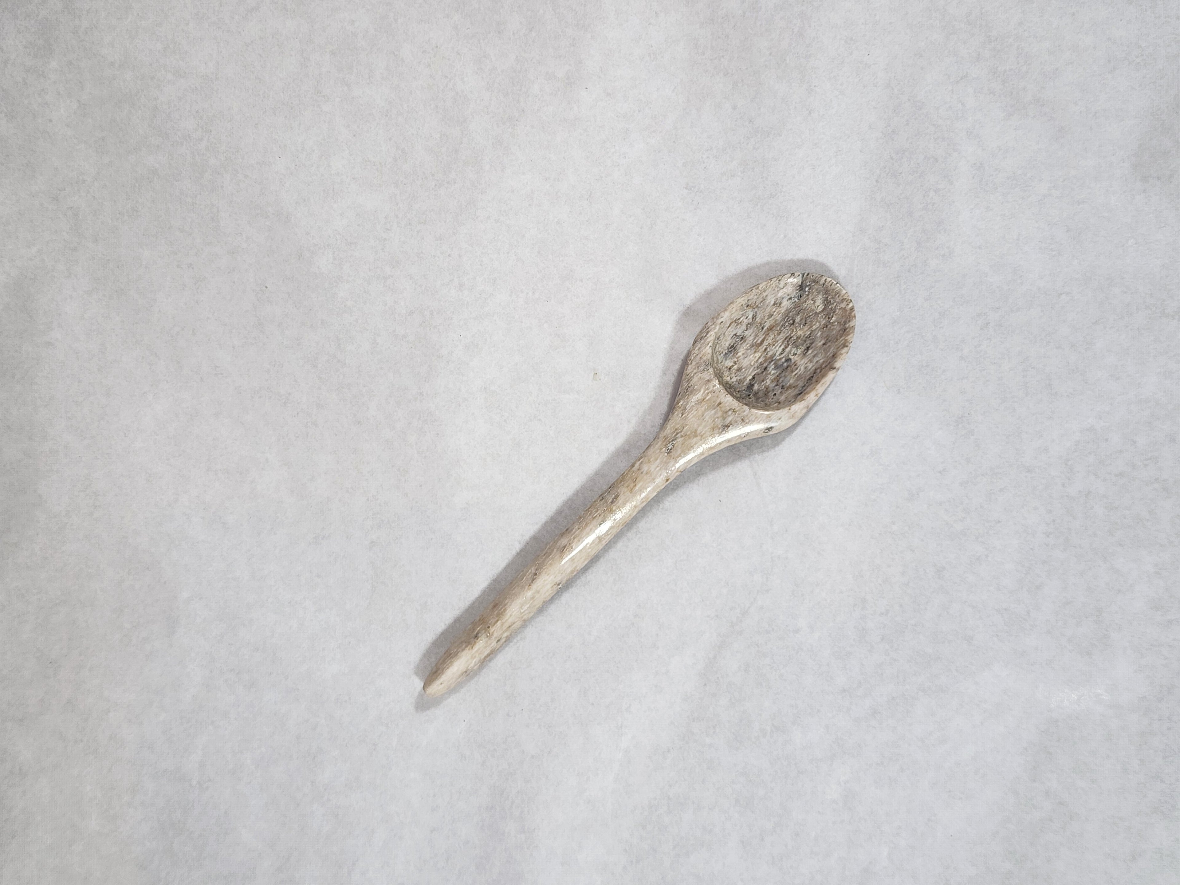 Spoon - Whale Bone Plain