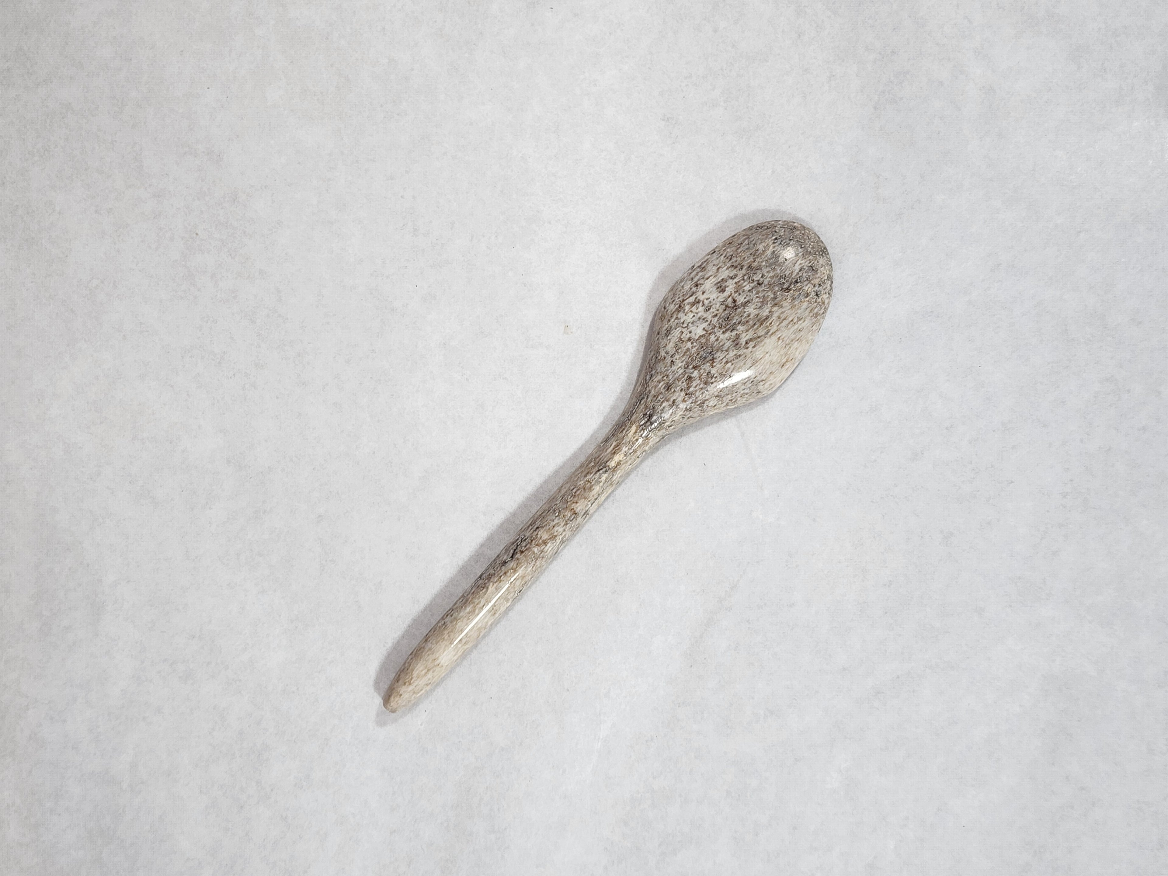 Spoon - Whale Bone Plain