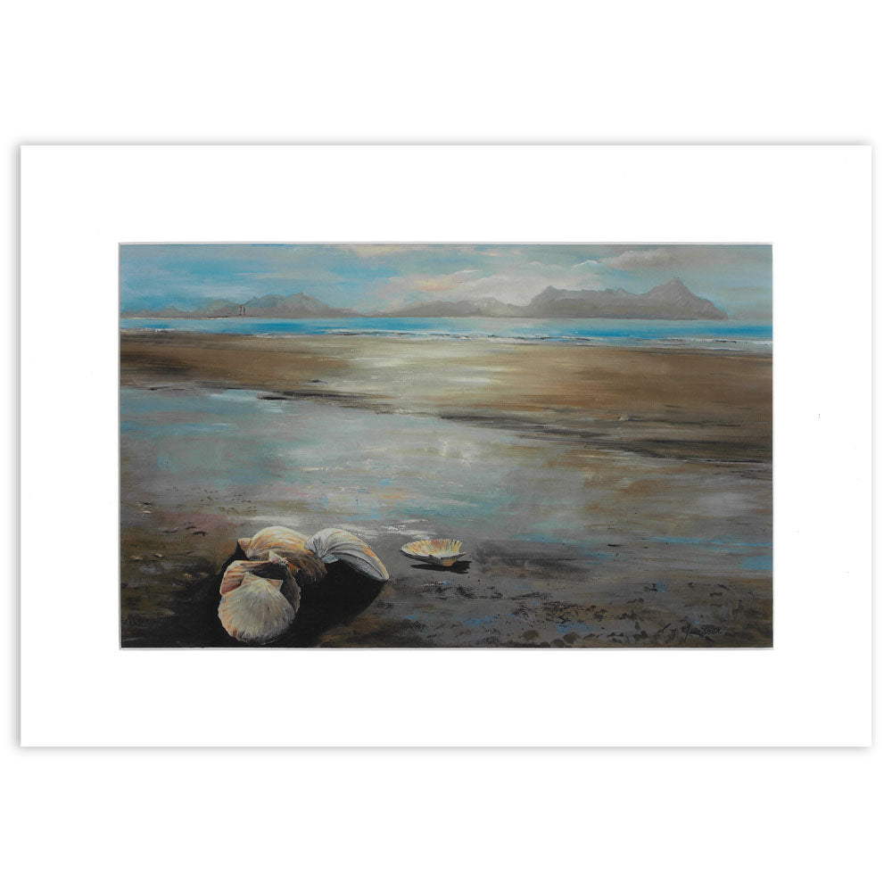 Shells Gathered Together - Unframed A3 Print
