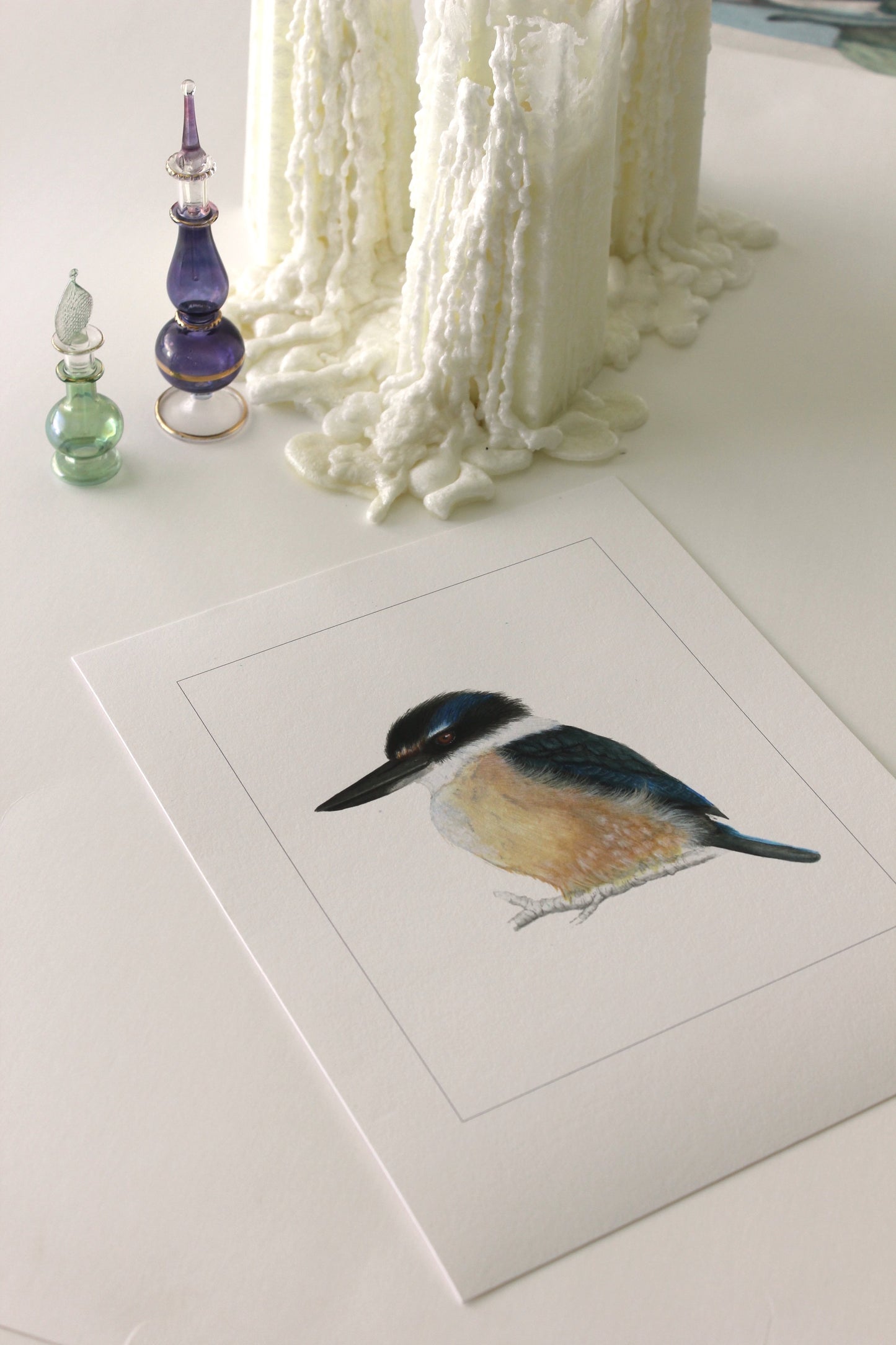 Kotare, Kingfisher - Print