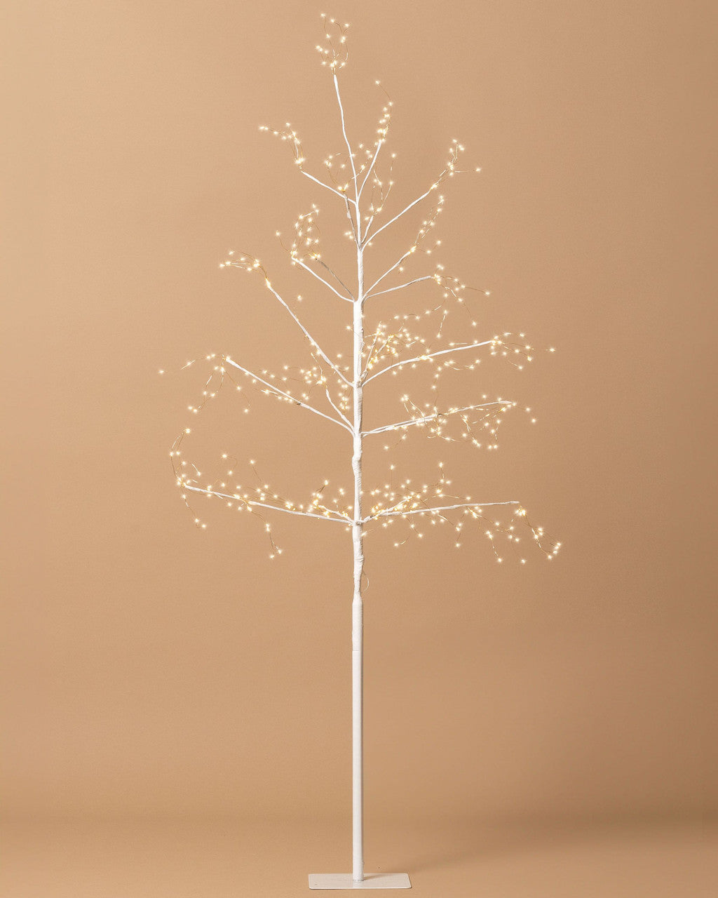 Arctic Birch