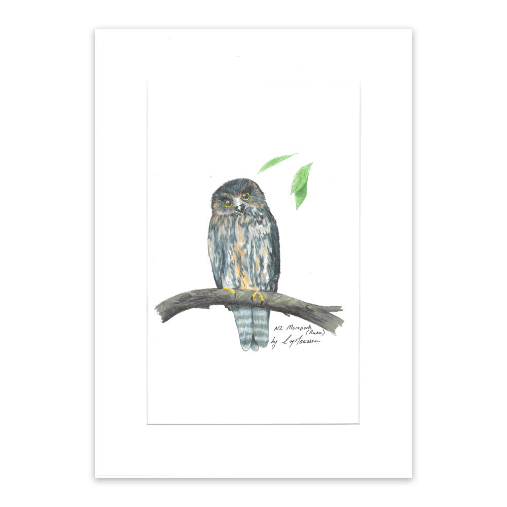 Morepork - Unframed A3 Print