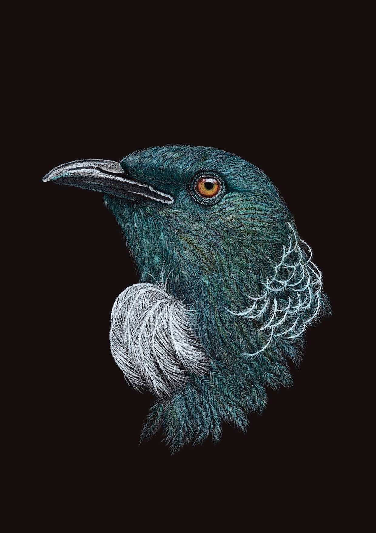 Tui - Print