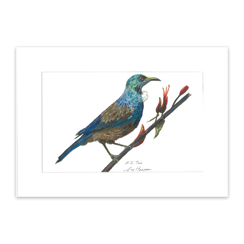 Tui - Unframed A3 Print