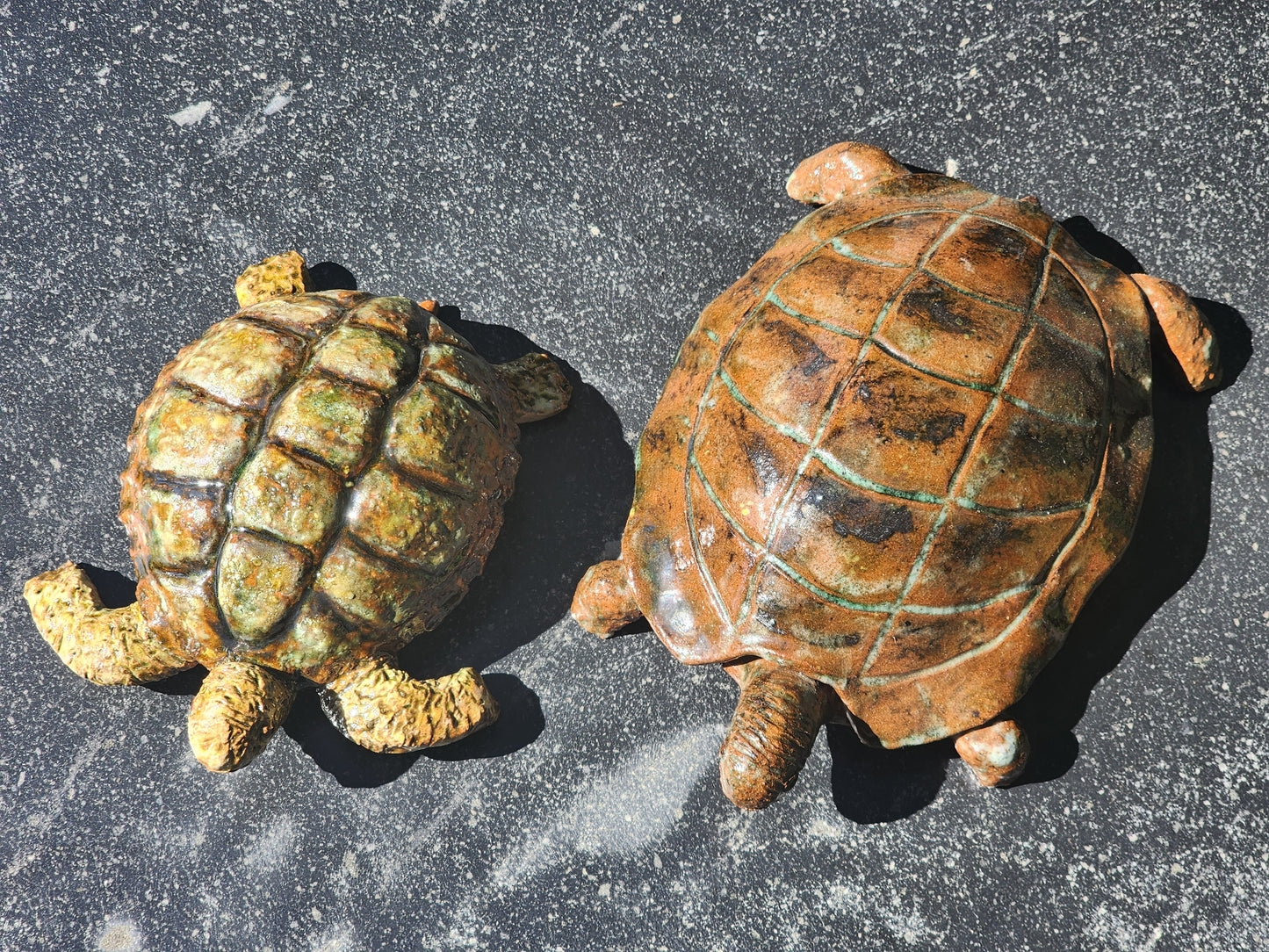 Large Tortoise