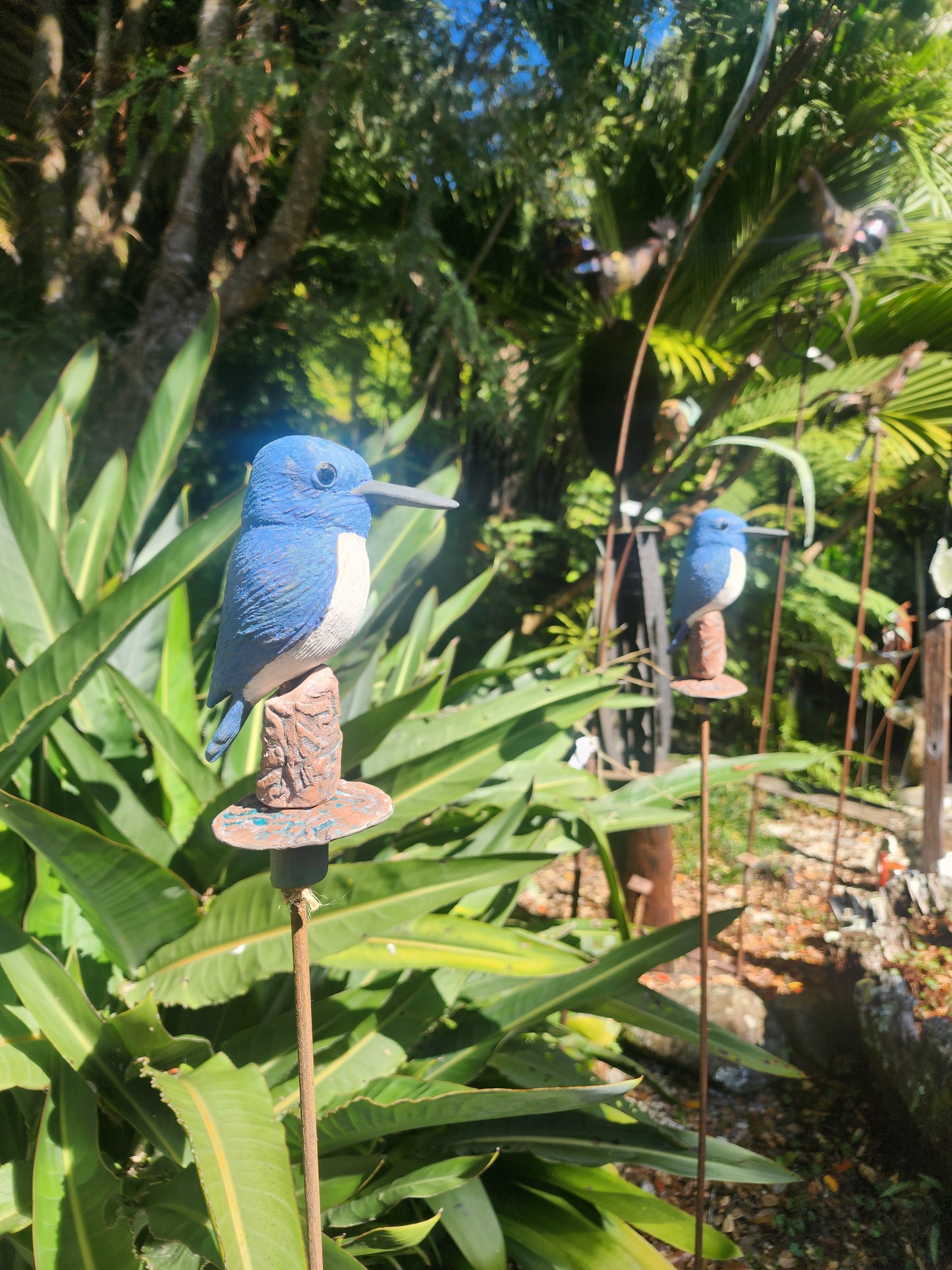 Kingfisher on Pole