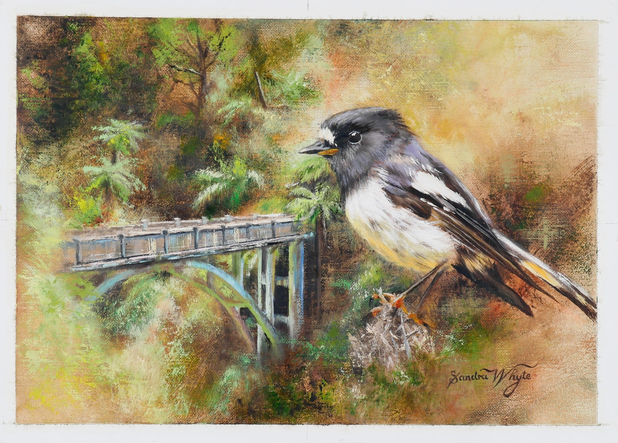 Bridge to Nowhere - Tomtit