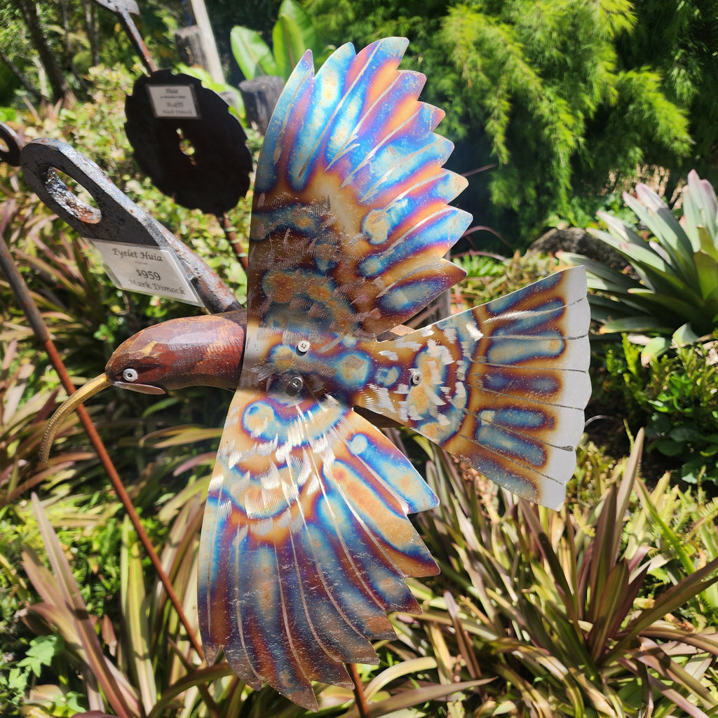 Eyelet Huia