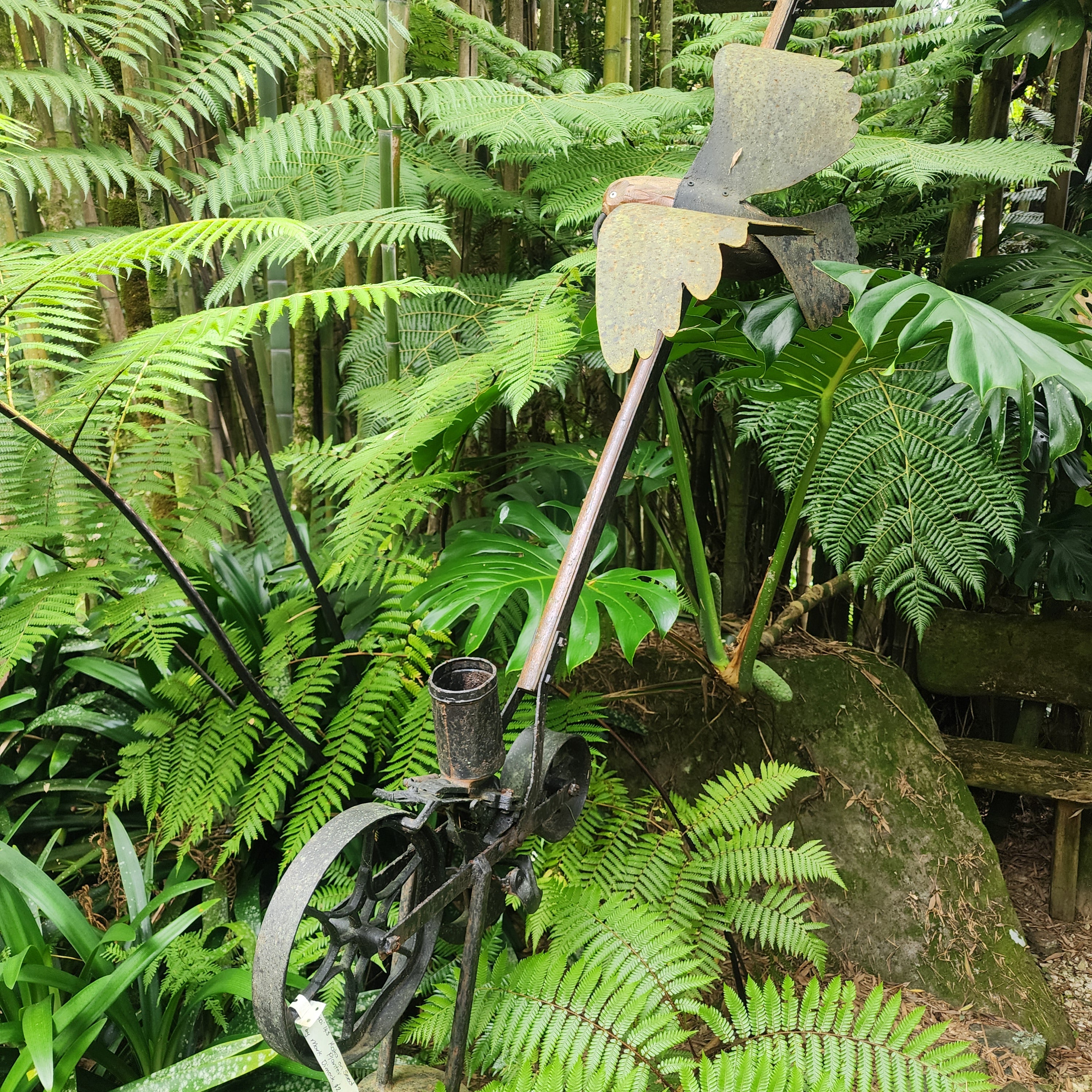 Kaka on Seed Planter