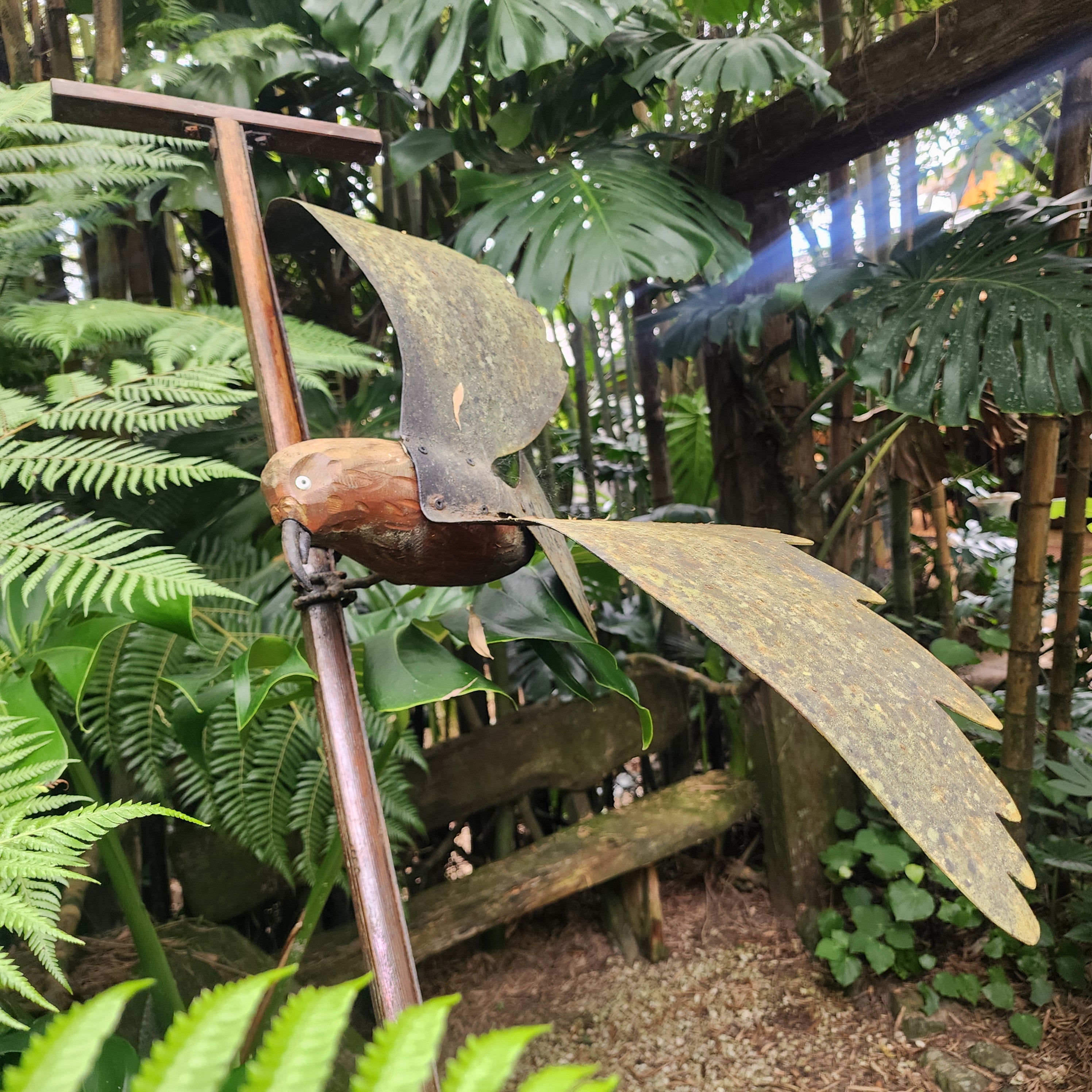 Kaka on Seed Planter