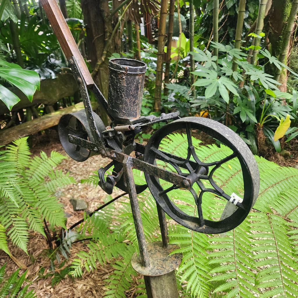 Kaka on Seed Planter
