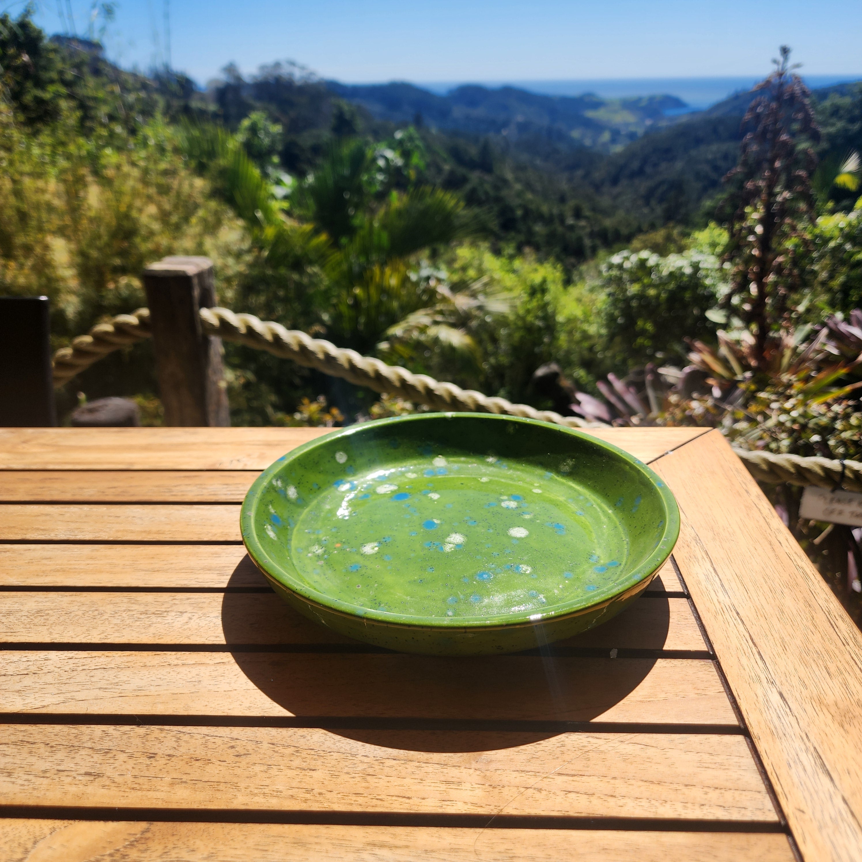 Green - Shallow Speckled Bowl