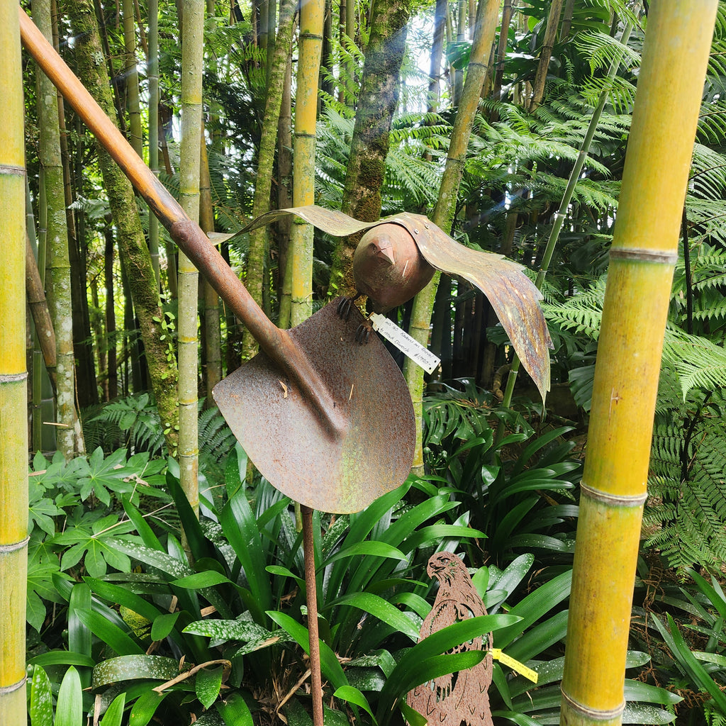 Kereru on Shovel