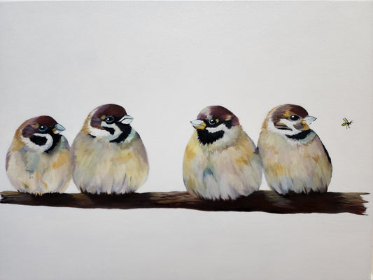 Four Little Sparrows