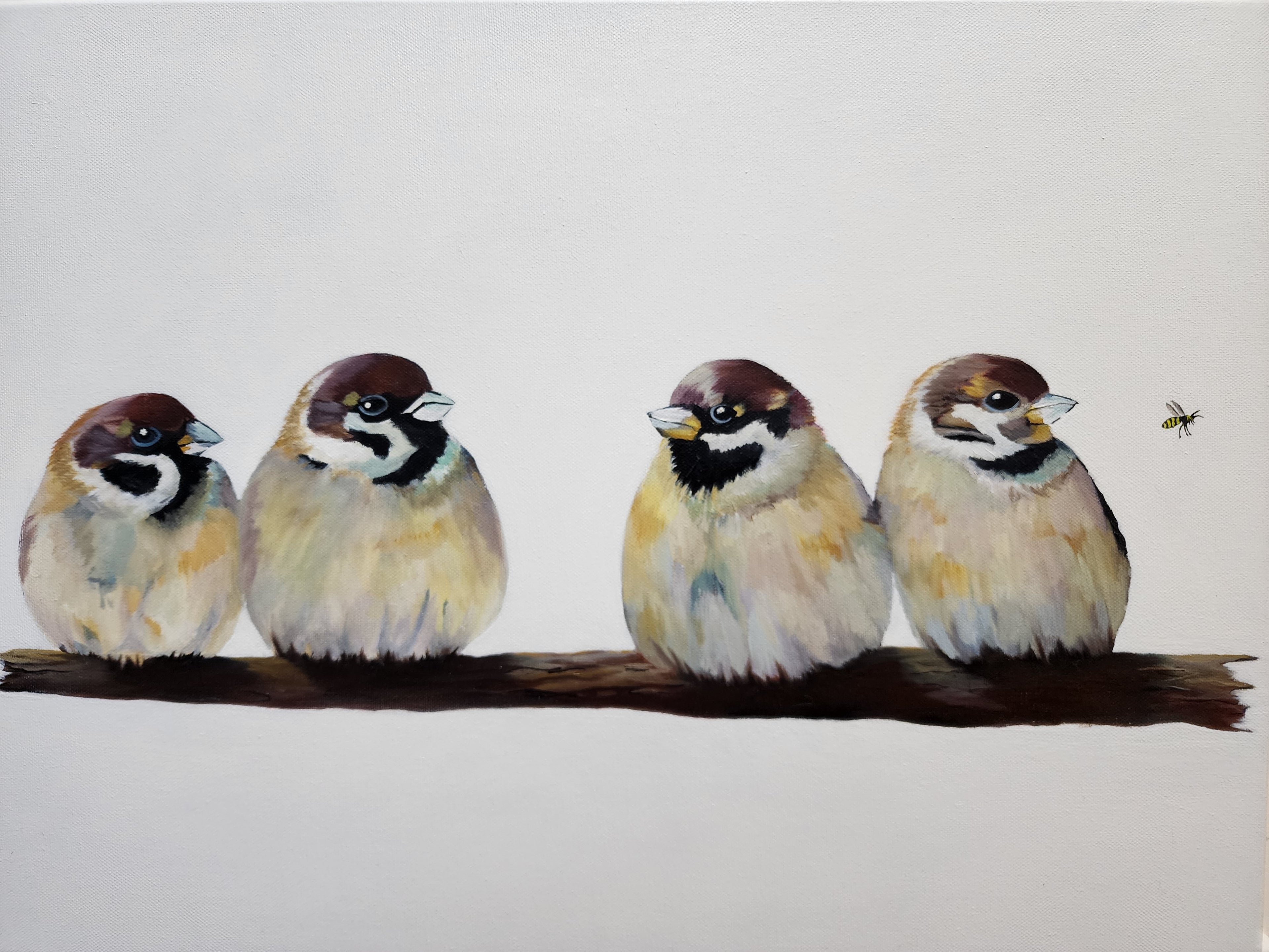Four Little Sparrows