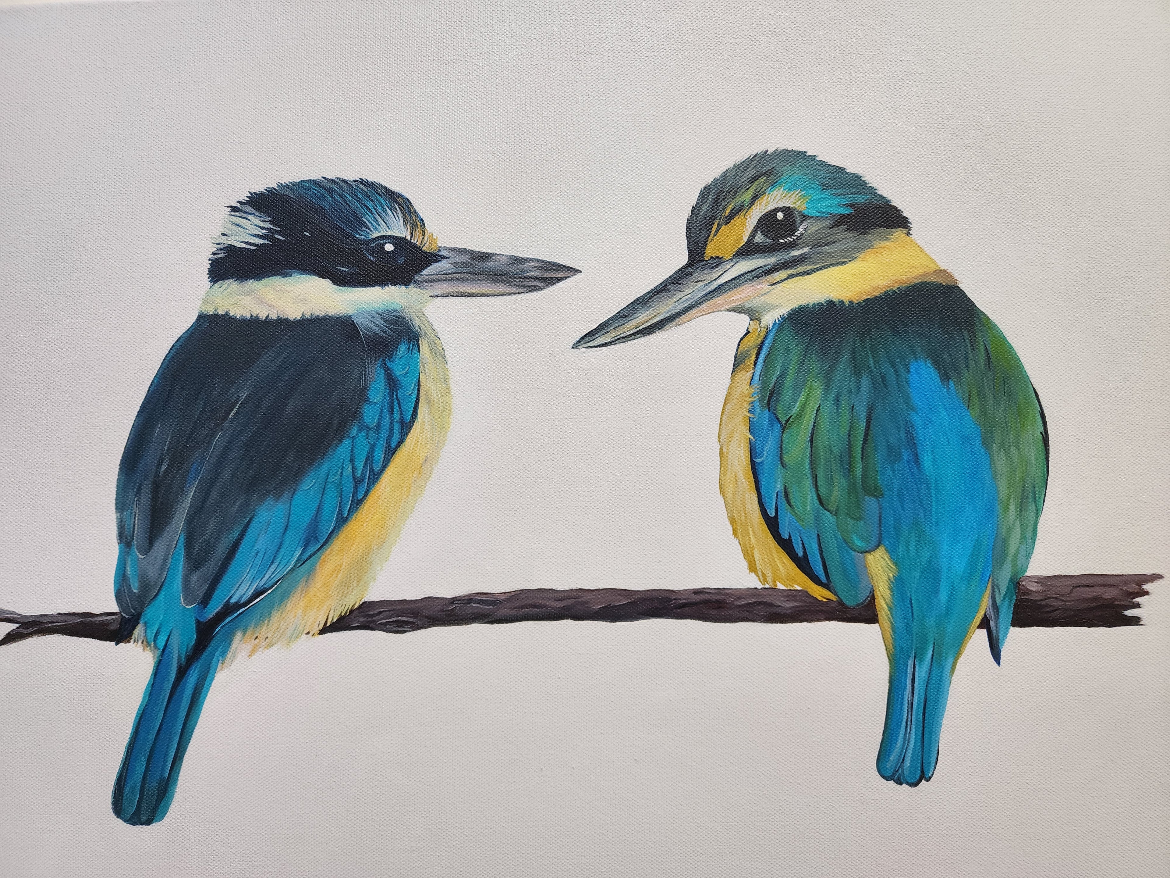 Kingfishers #3