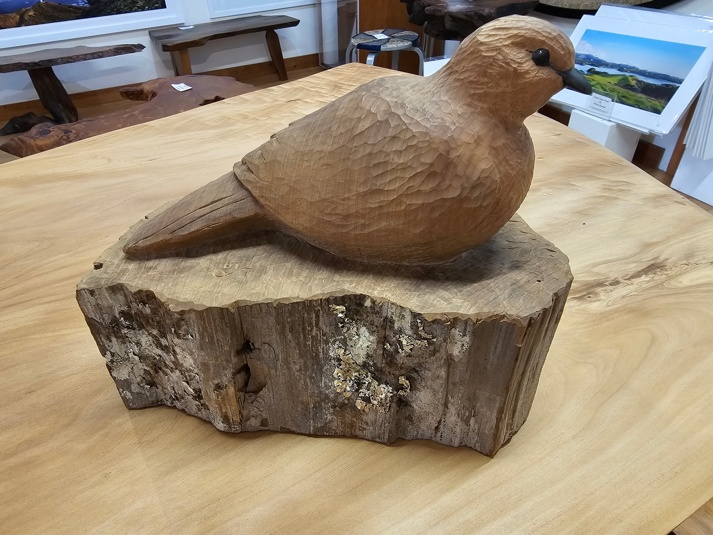 Dove in Fence Post