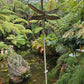 Dragonfly on Reed