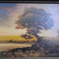 Micheal McCarthy Framed original oil paintings - warning Nudes! from $175