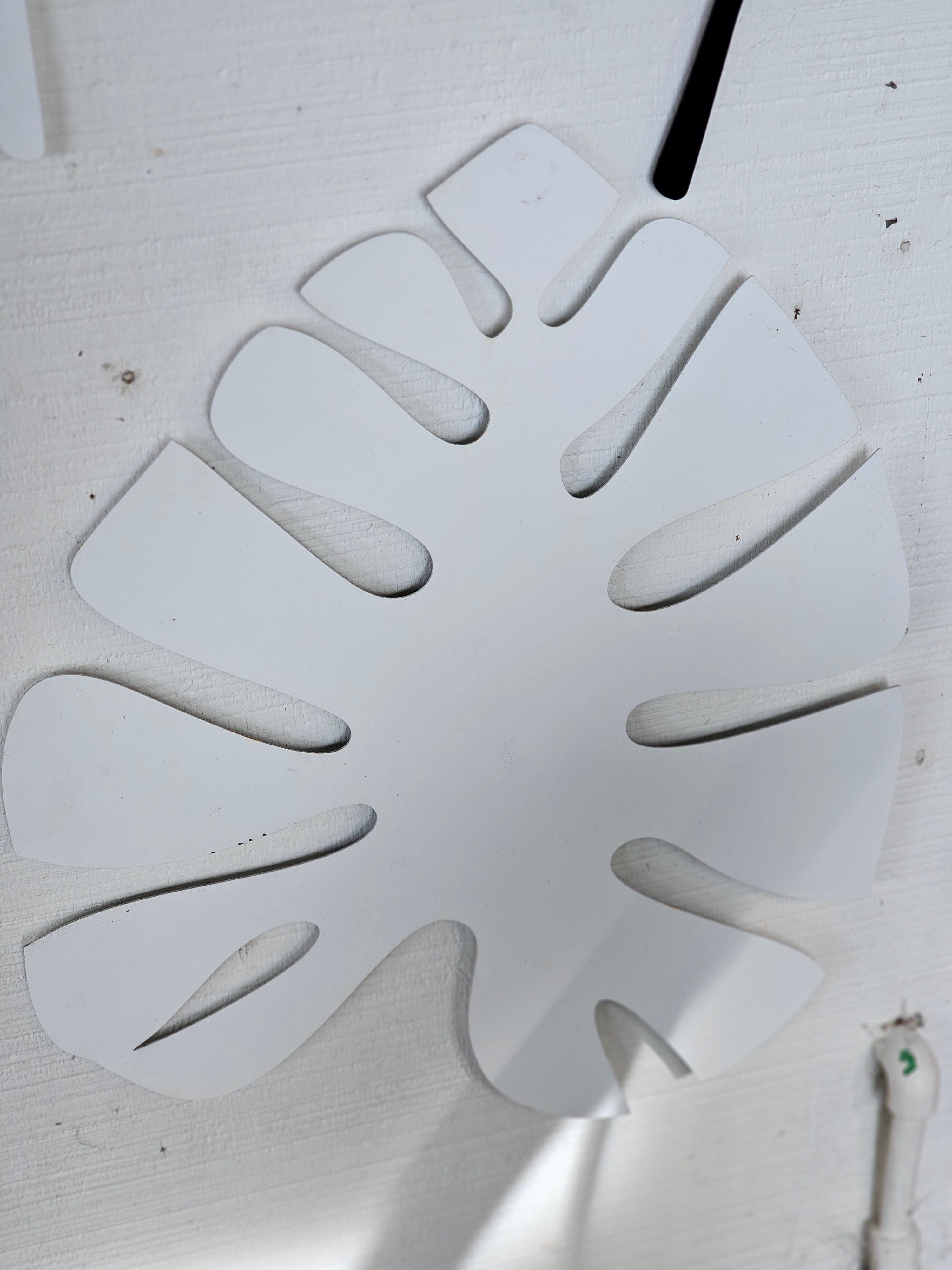 Monstera Leaf