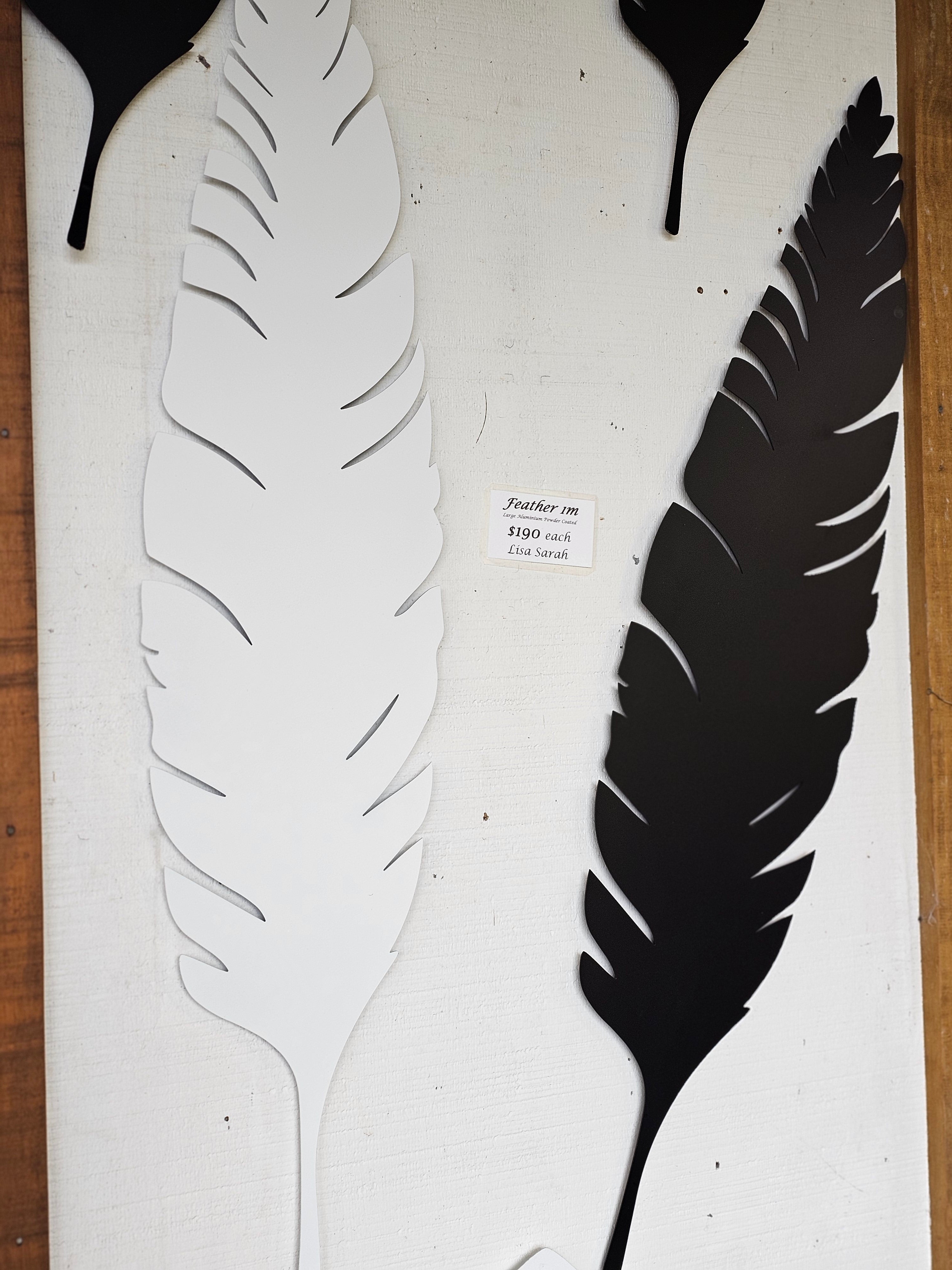 Large Feather - 1m