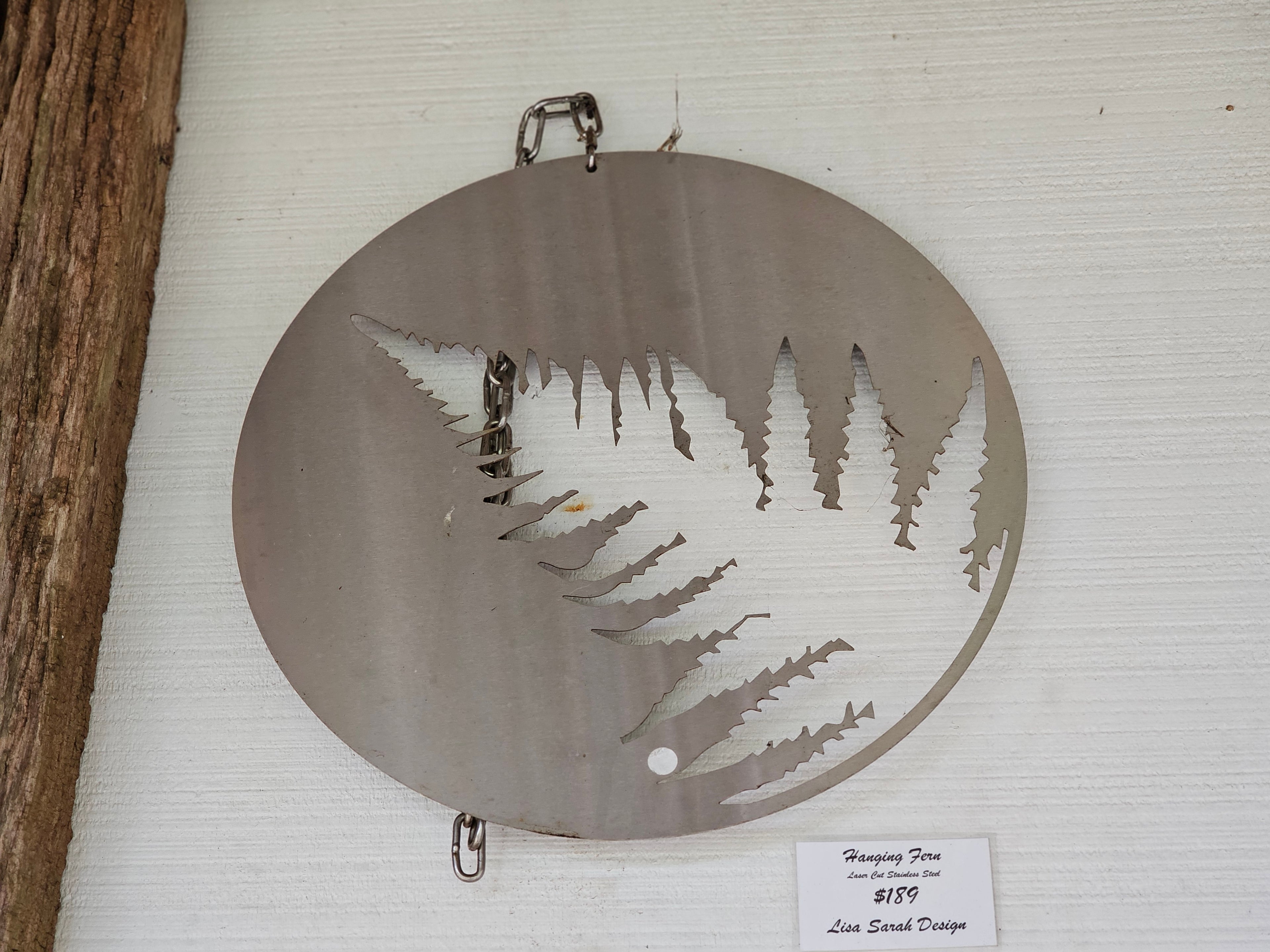 Hanging Silver Fern