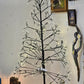 LED and Seed Light Trees from $125