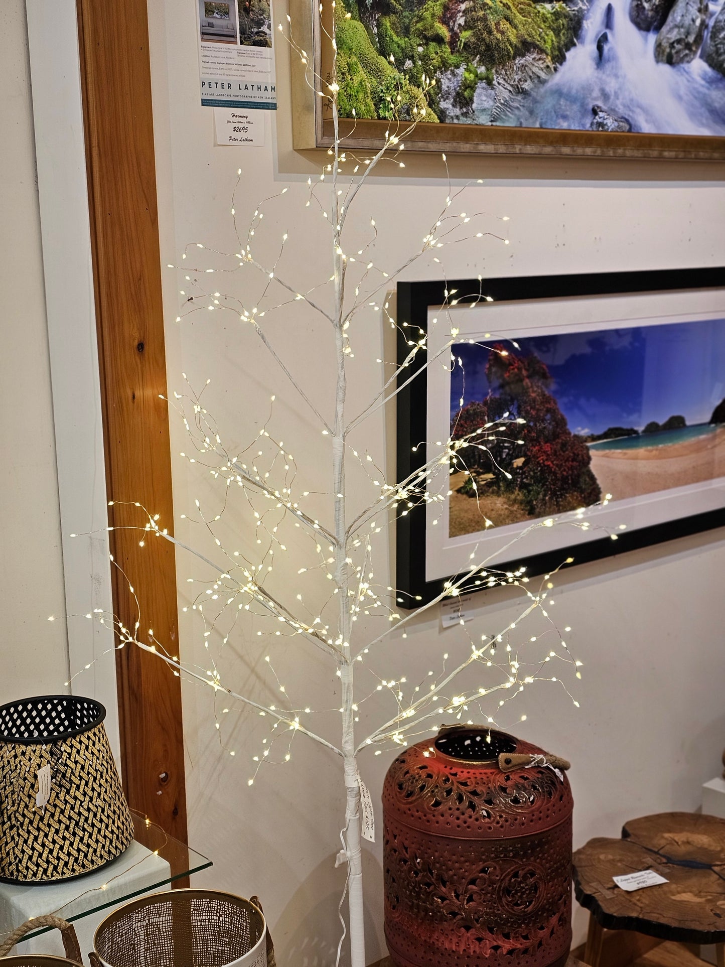 LED and Seed Light Trees from $125