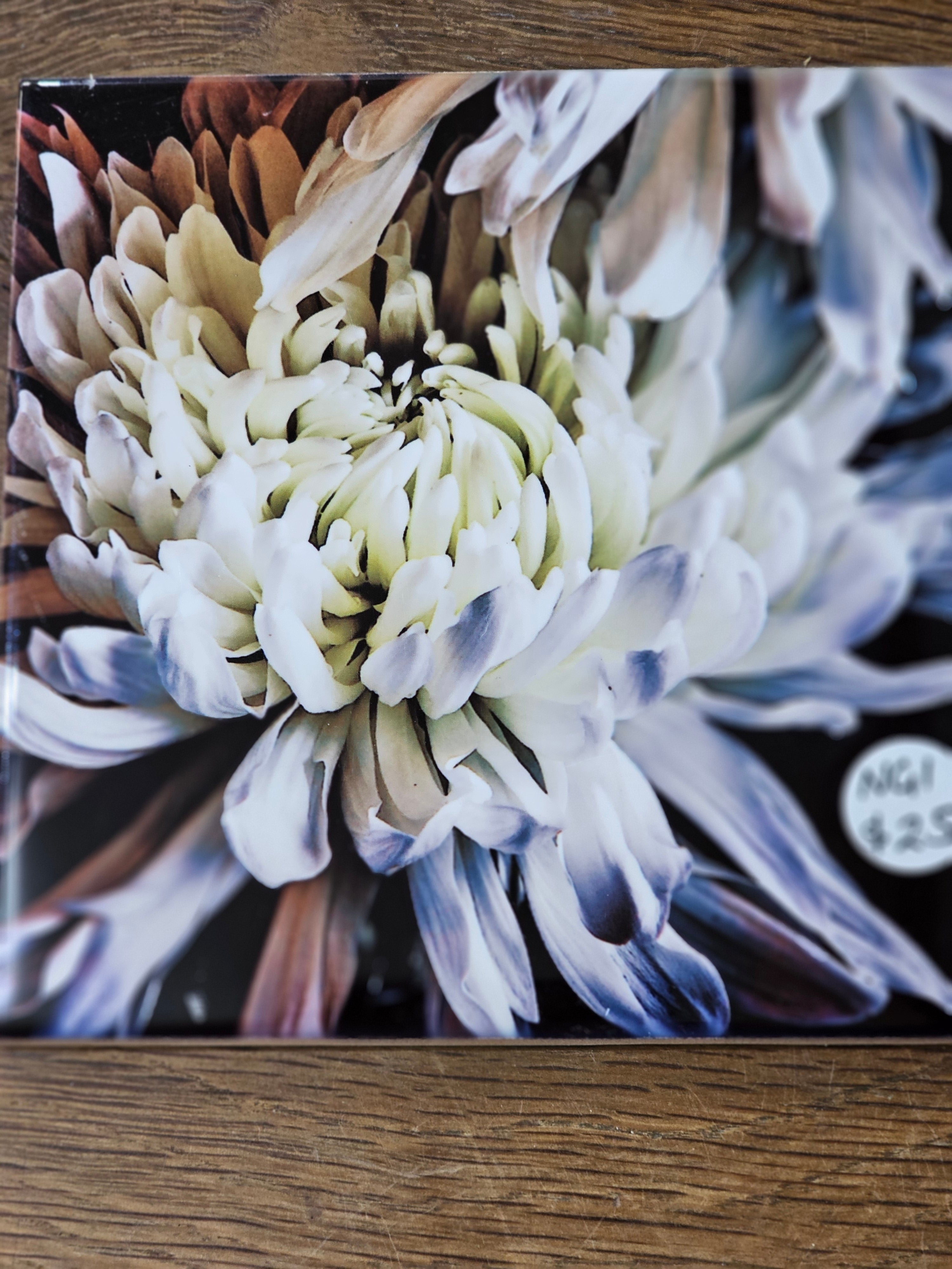 Lucy G Tiles from $19