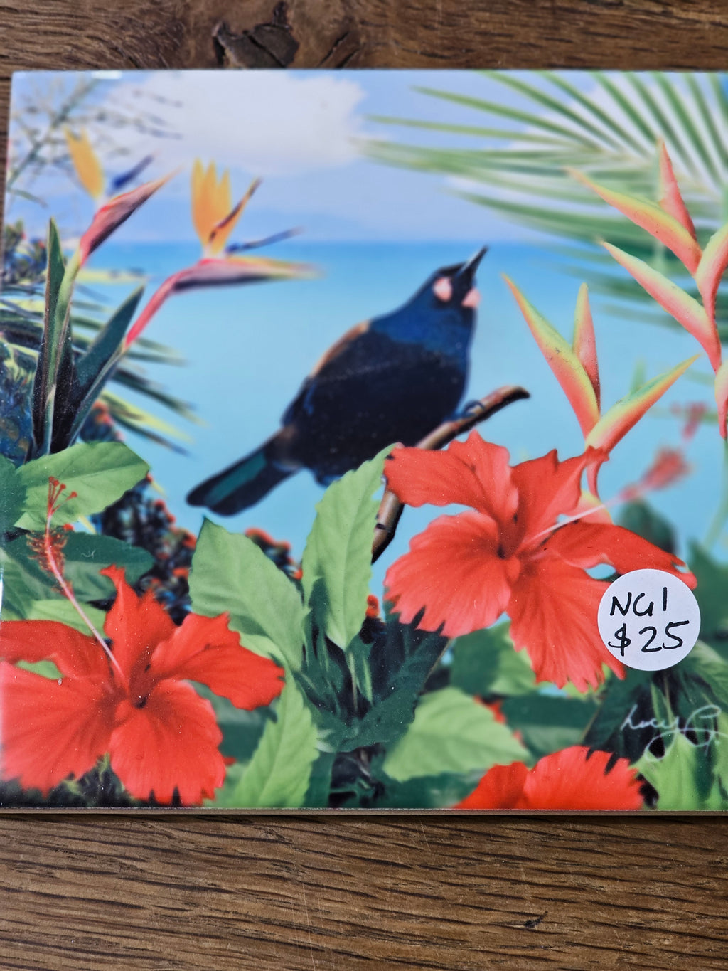 Lucy G Tiles from $19