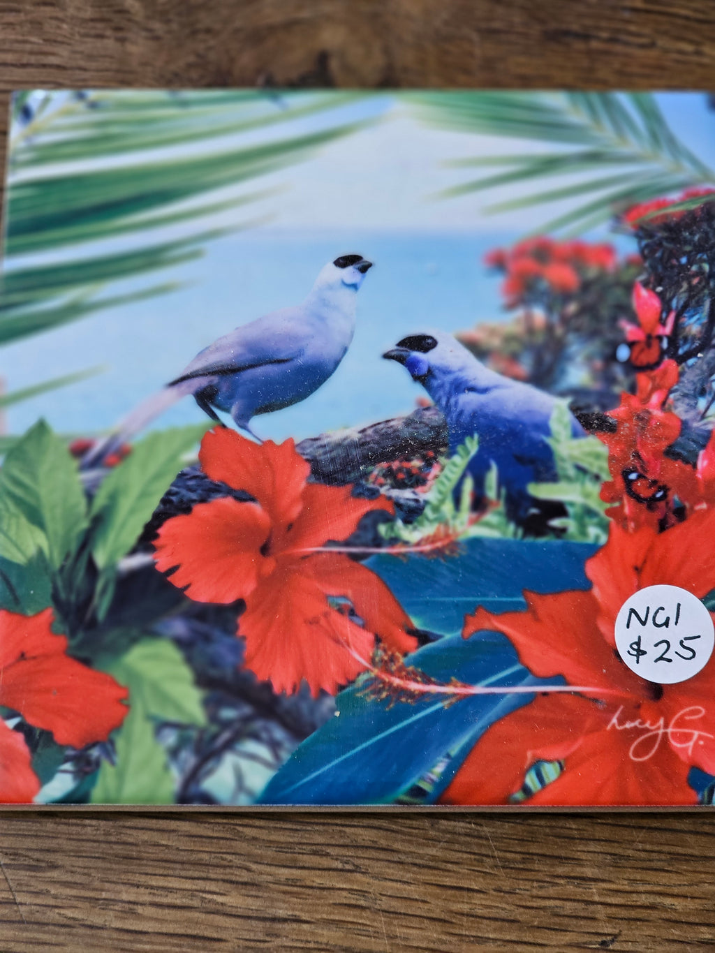 Lucy G Tiles from $19
