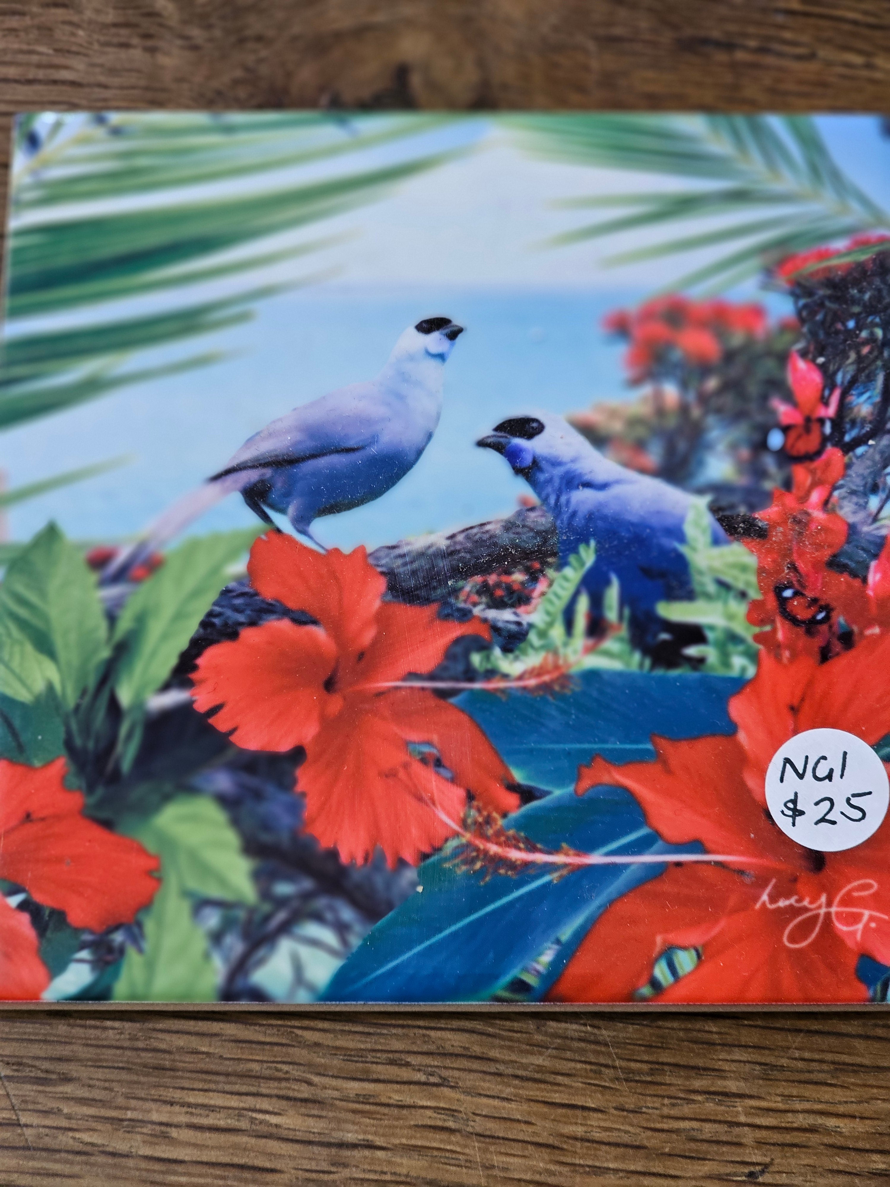 Lucy G Tiles from $19