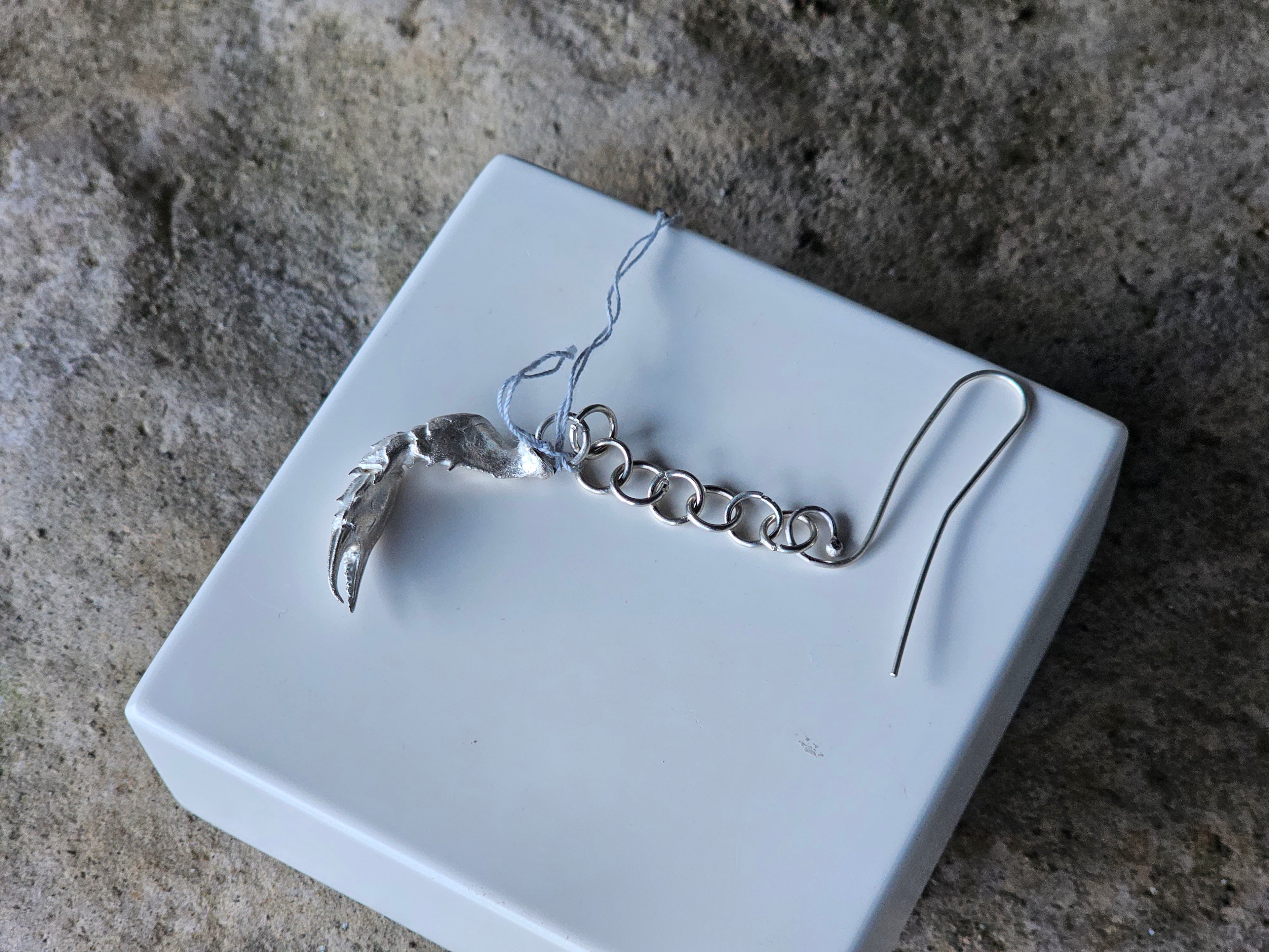 Silver Crab Claw on Silver Chain