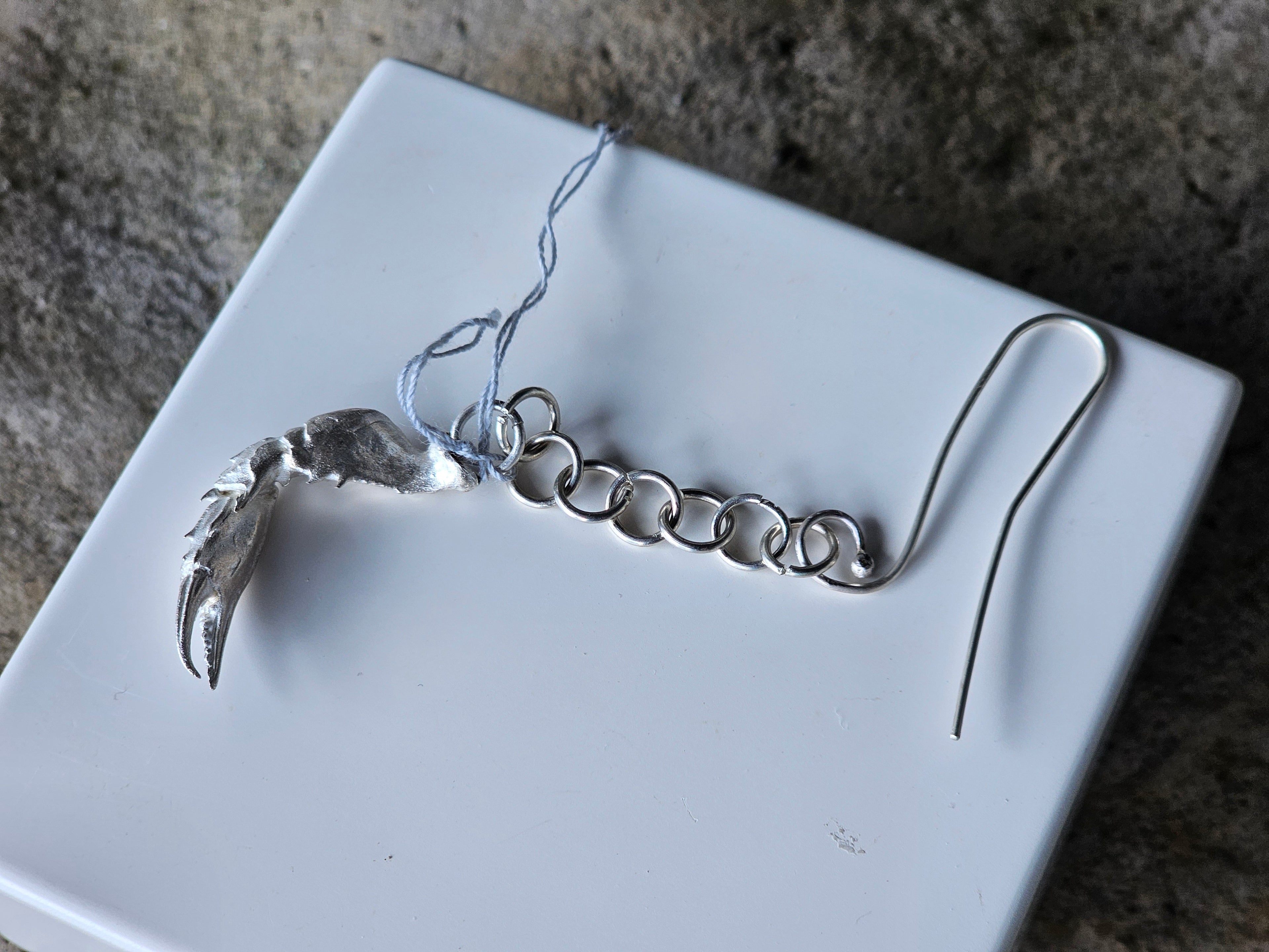 Silver Crab Claw on Silver Chain