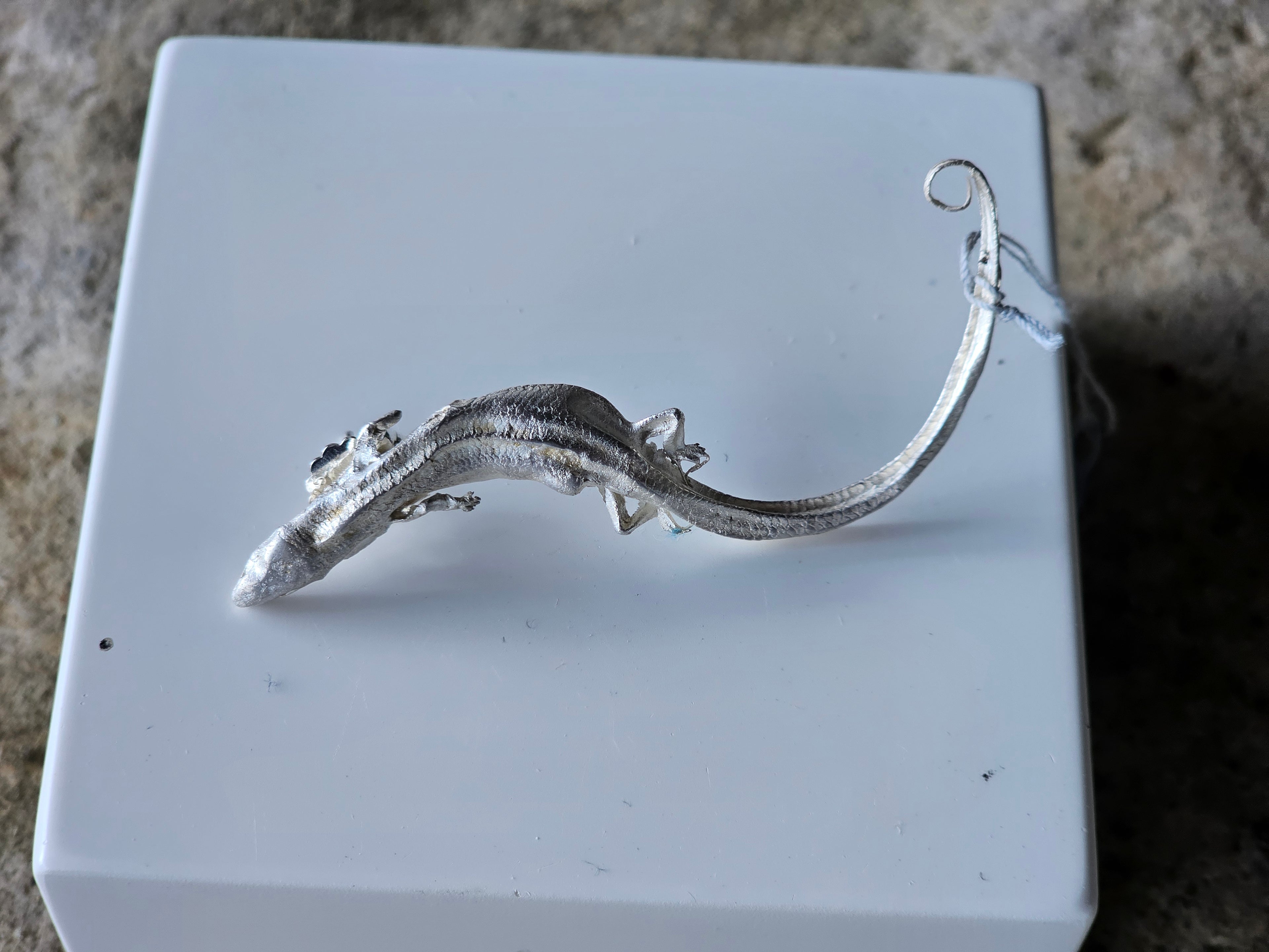 Silver Skink Stud