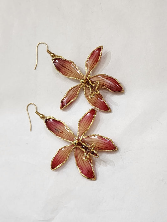Tiger Cat with Gold Trim Earrings