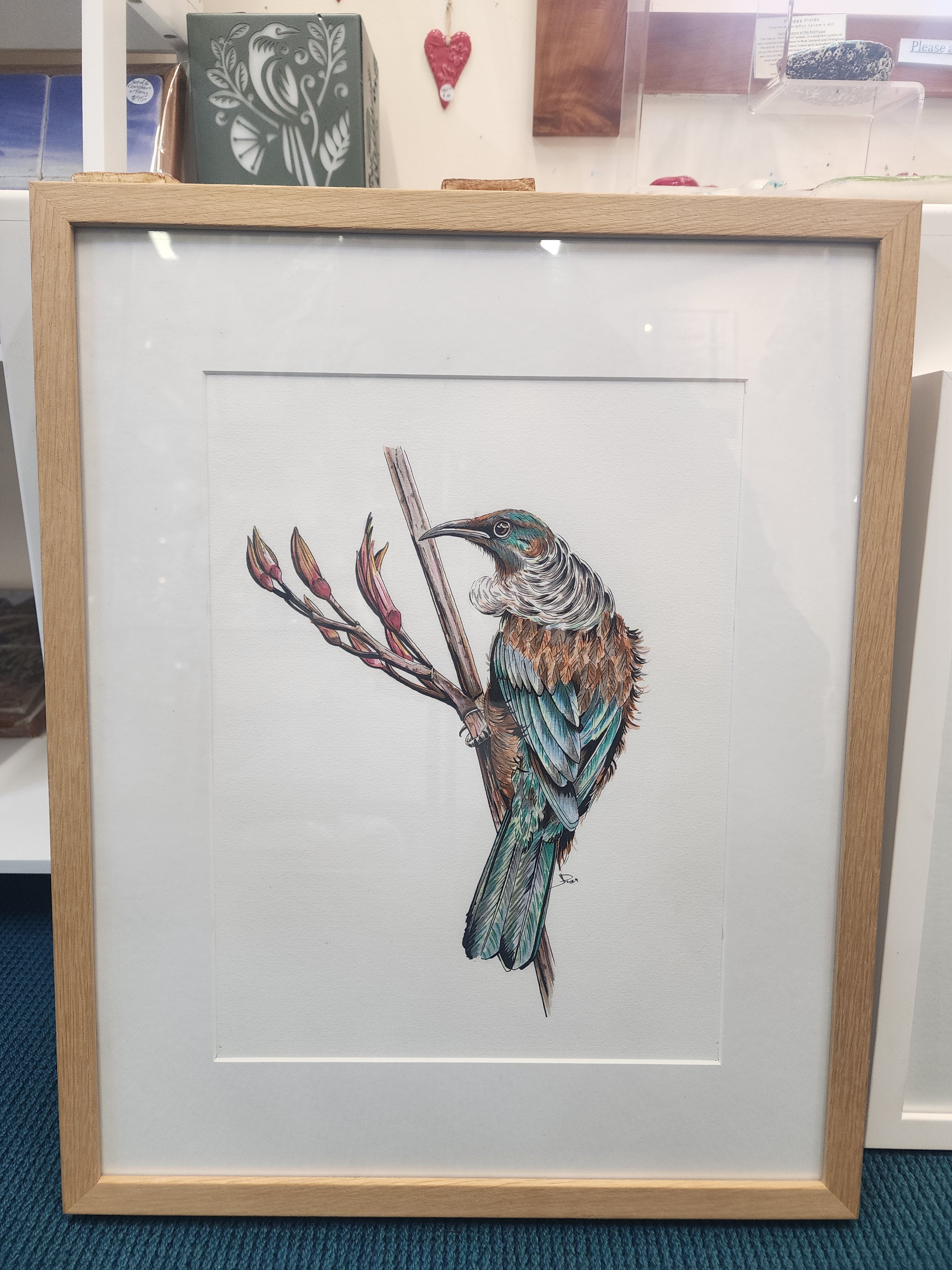 Tui on Flax