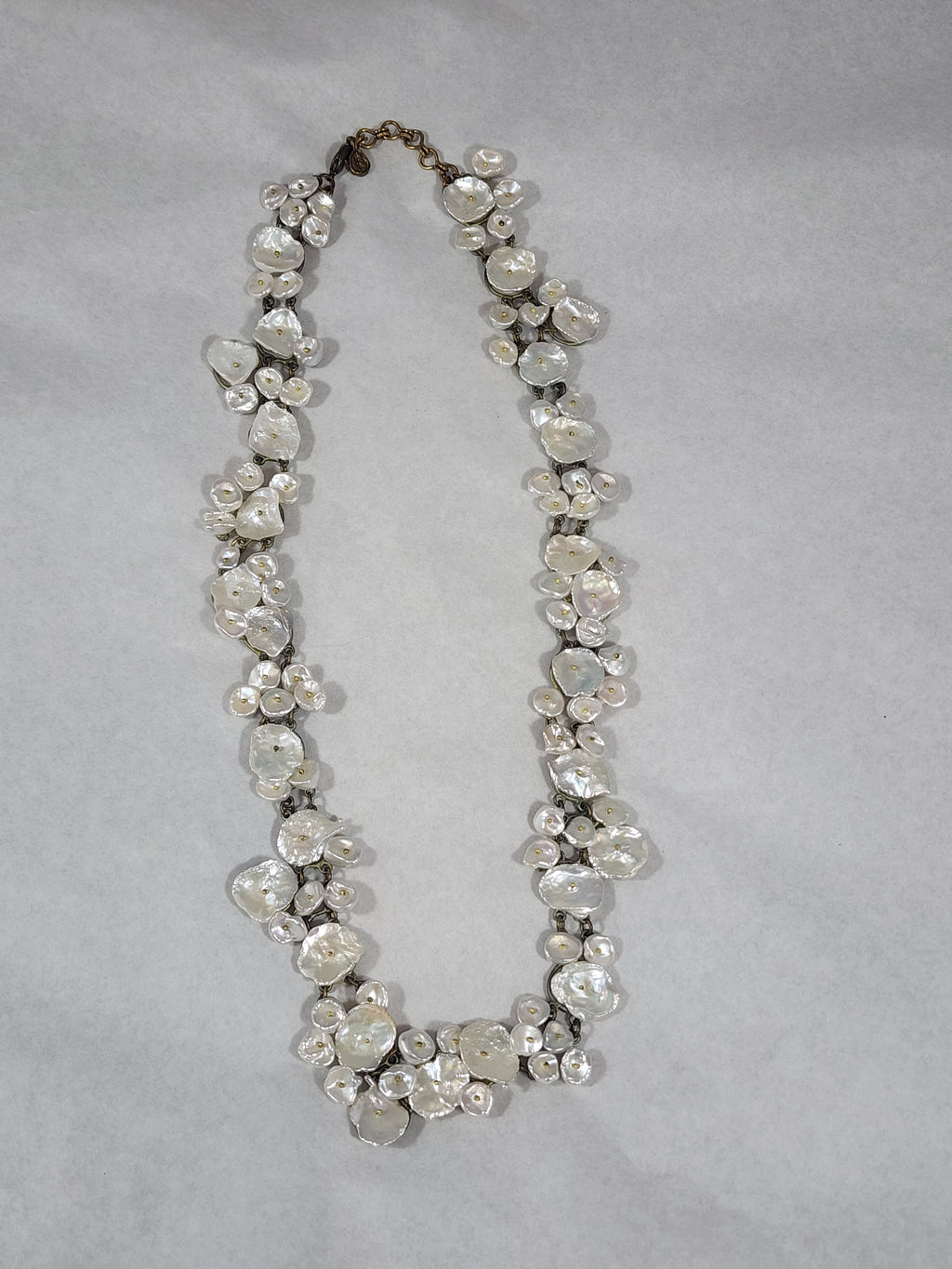 Silver Dollar Necklace