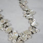Silver Dollar Necklace