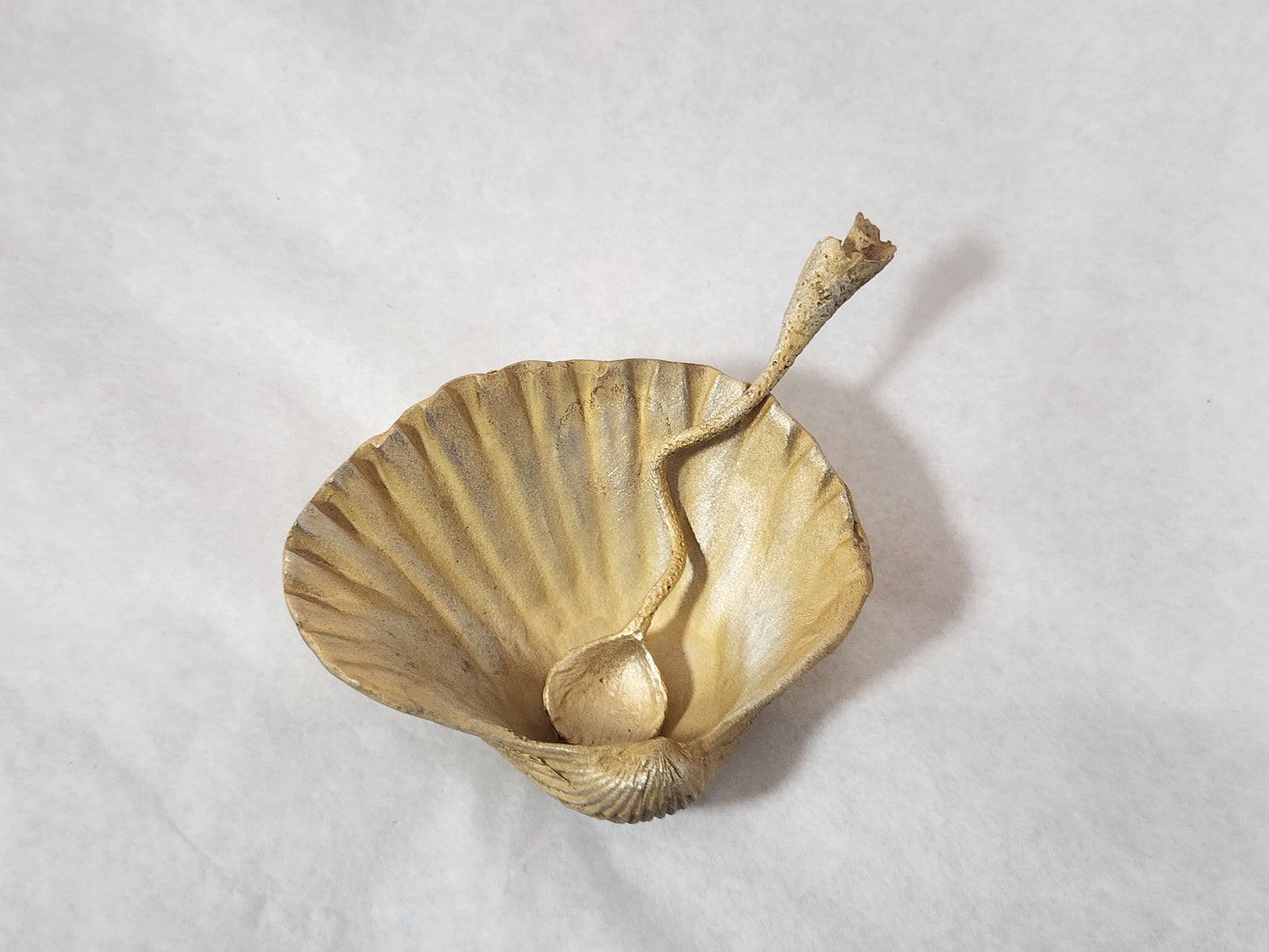 Seashell Salt Dish with spoon