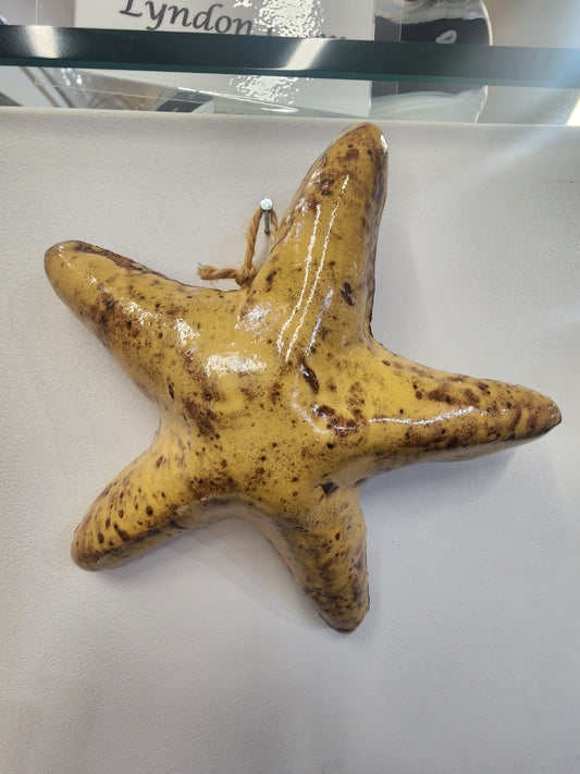 Starfish