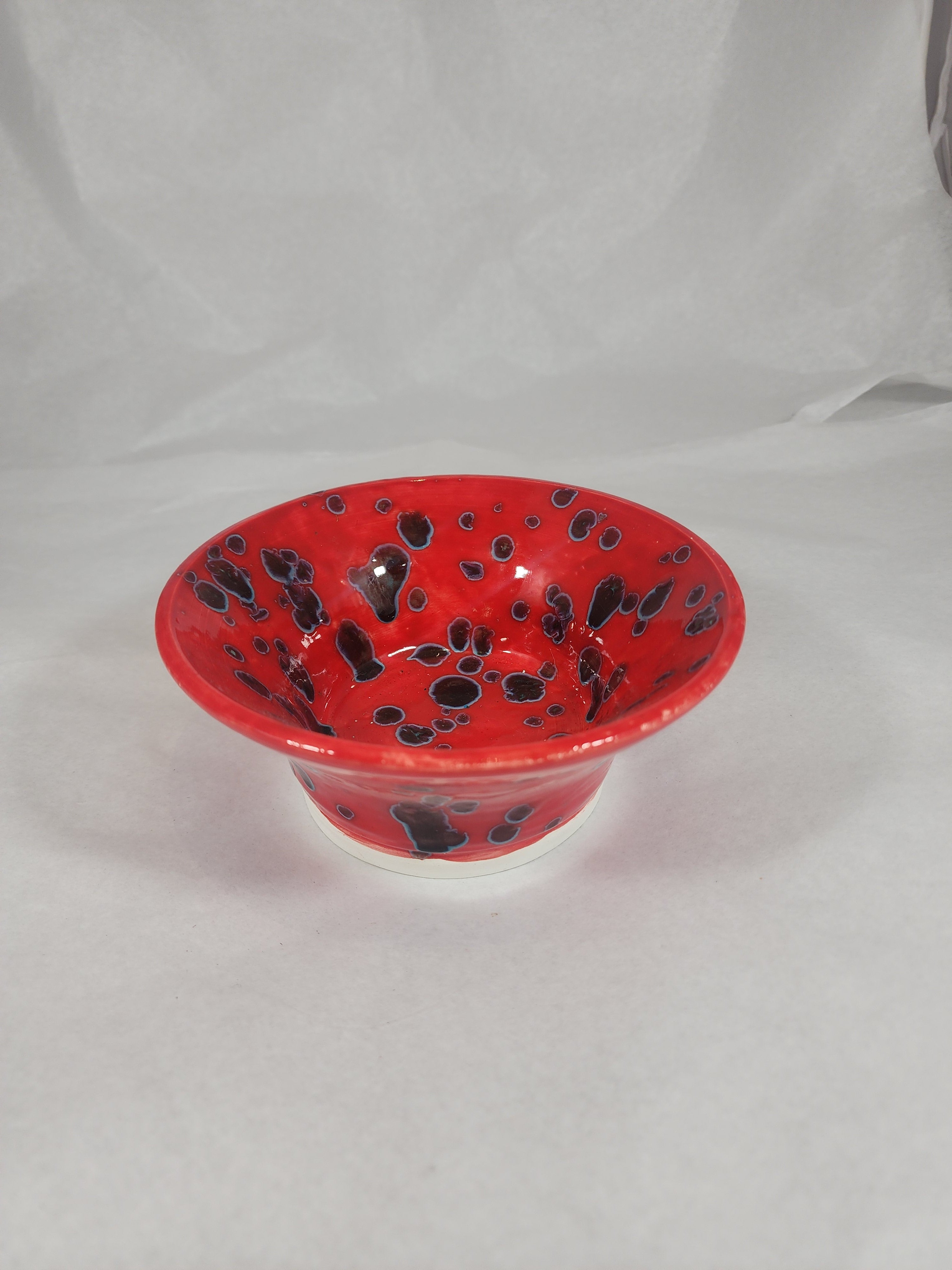 Red Ladybird Bowl