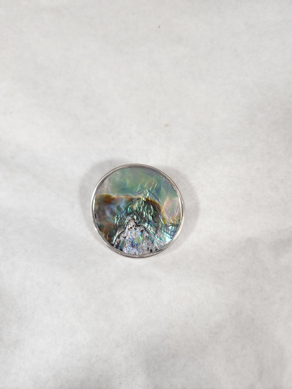 Paua - Pendant/Brooche