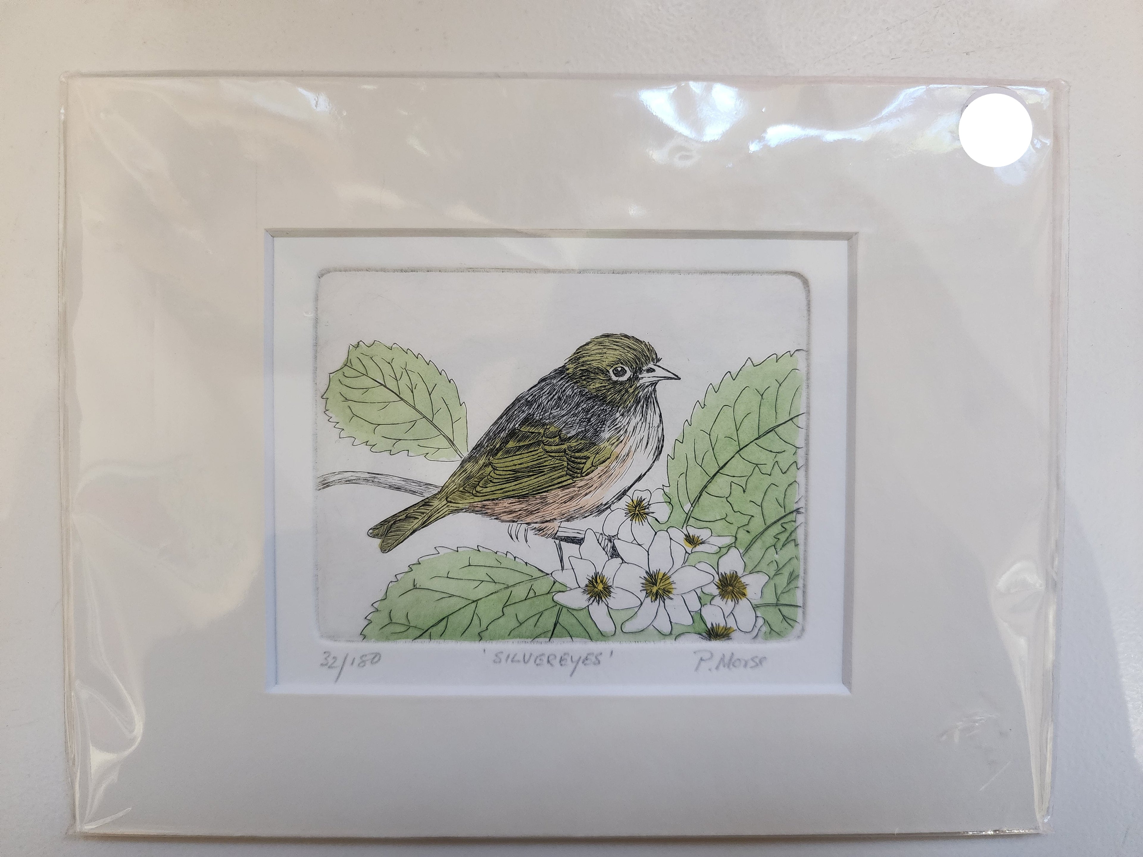 Silver Eyes - Paper Print