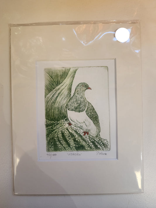 Kereru - Paper Print