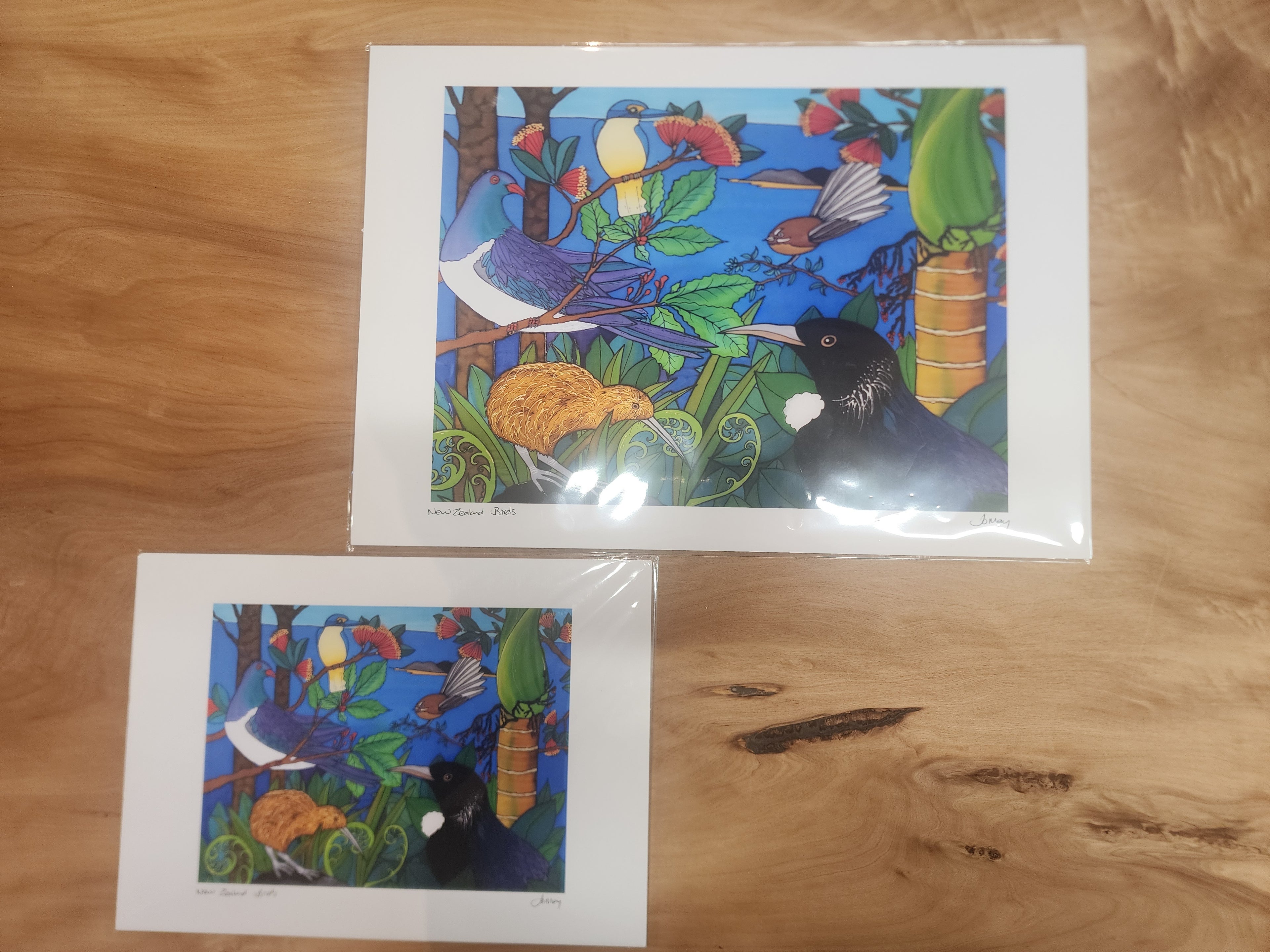 NZ Native Birds #2054 - Paper Print